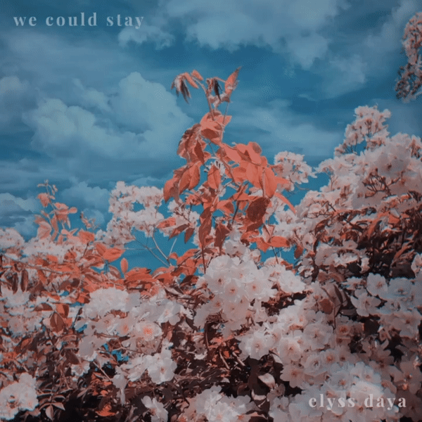 New Single 'We Could Stay' Out Now