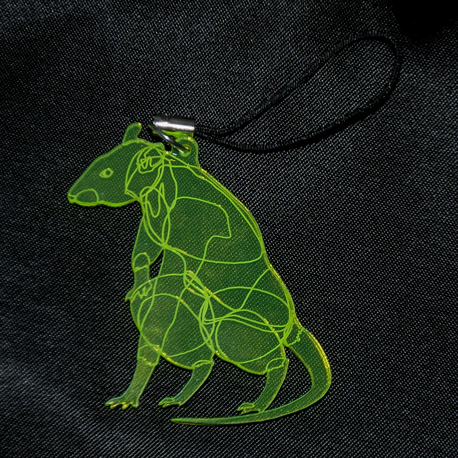 Disease keyring.jpg