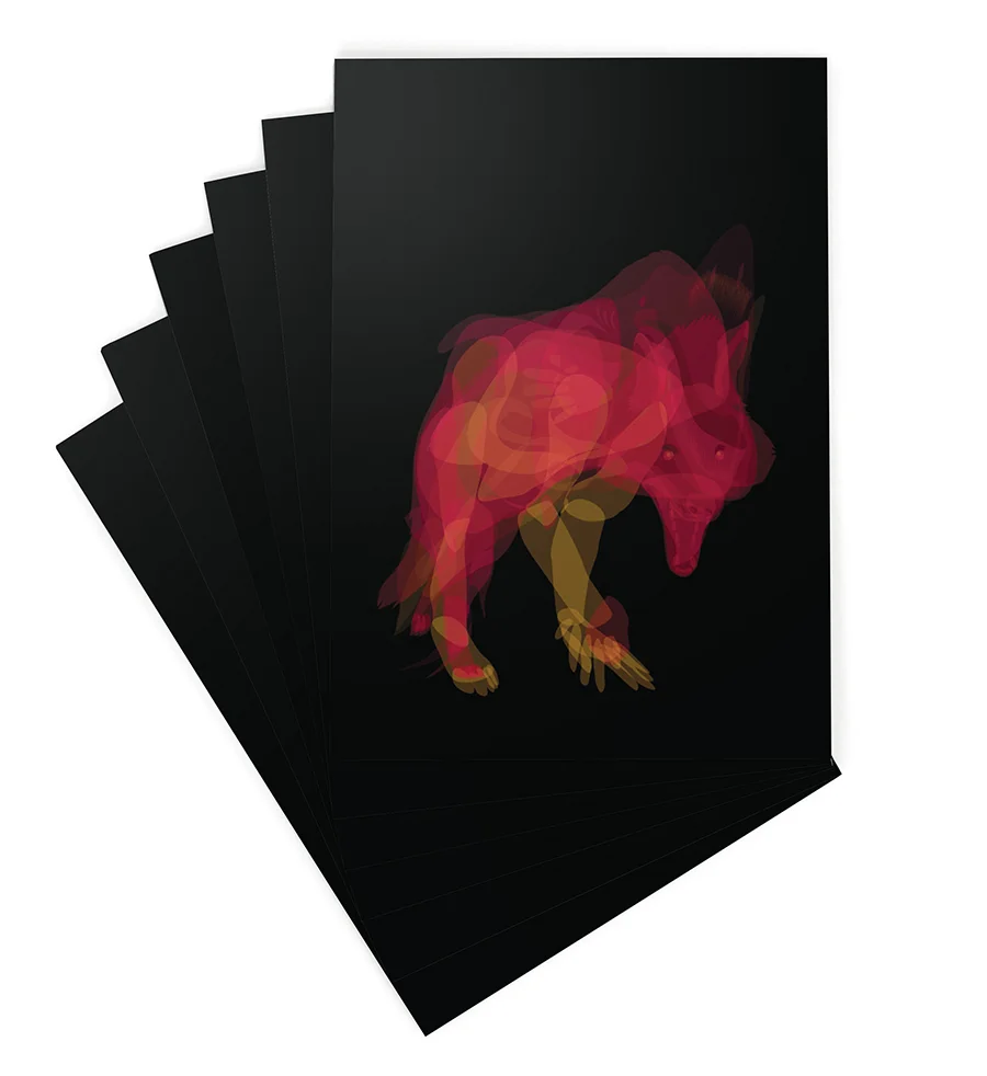 ECEL predation card.jpg