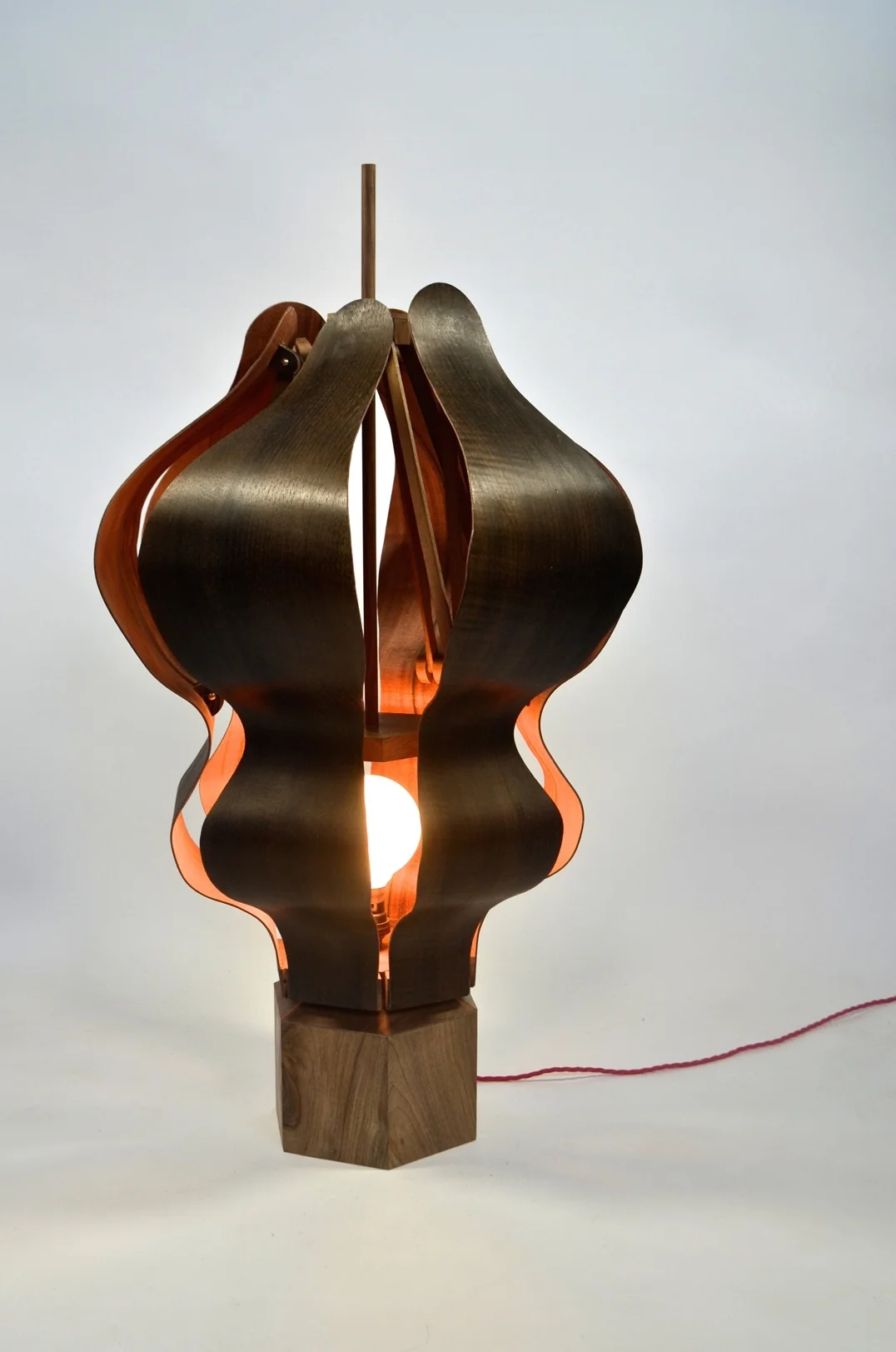 Photonasty_Nyctinasty Lamp 2 PIC 1.jpg