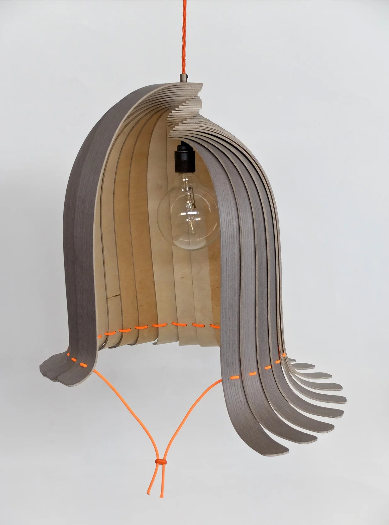 Thigmonasty Lamp PIC 1.jpg