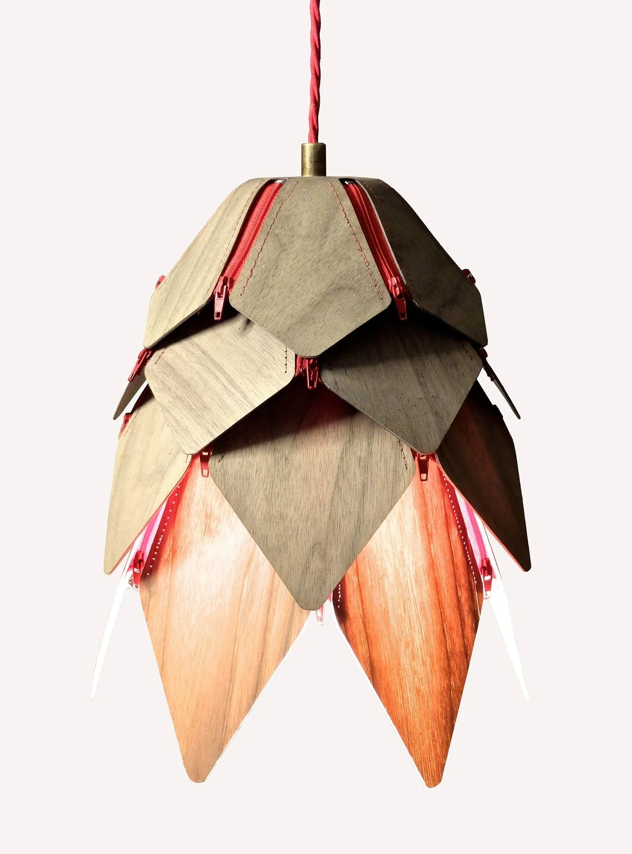 Serotiny Lamp 1 PIC 2.jpg