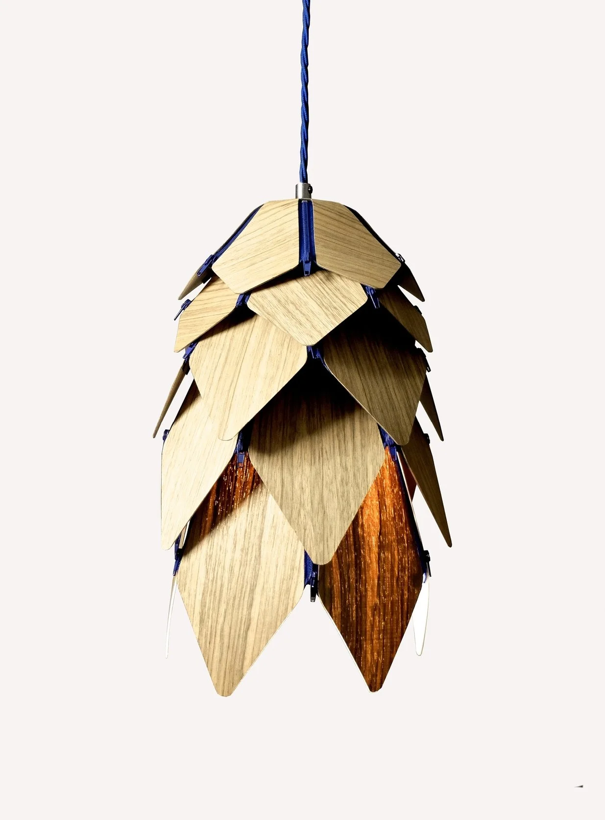 Serotiny Lamp 2 PIC 1.jpg