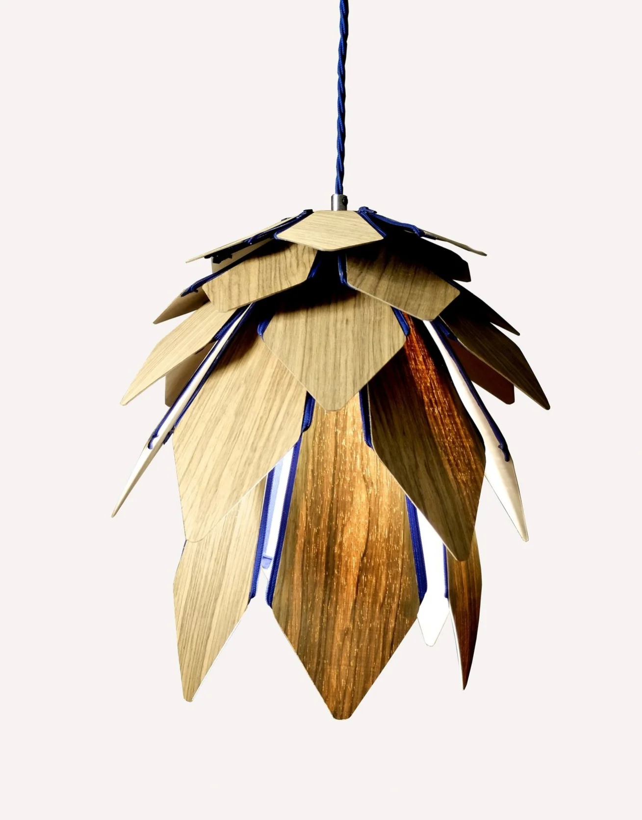 Serotiny Lamp 2 PIC 1.jpg