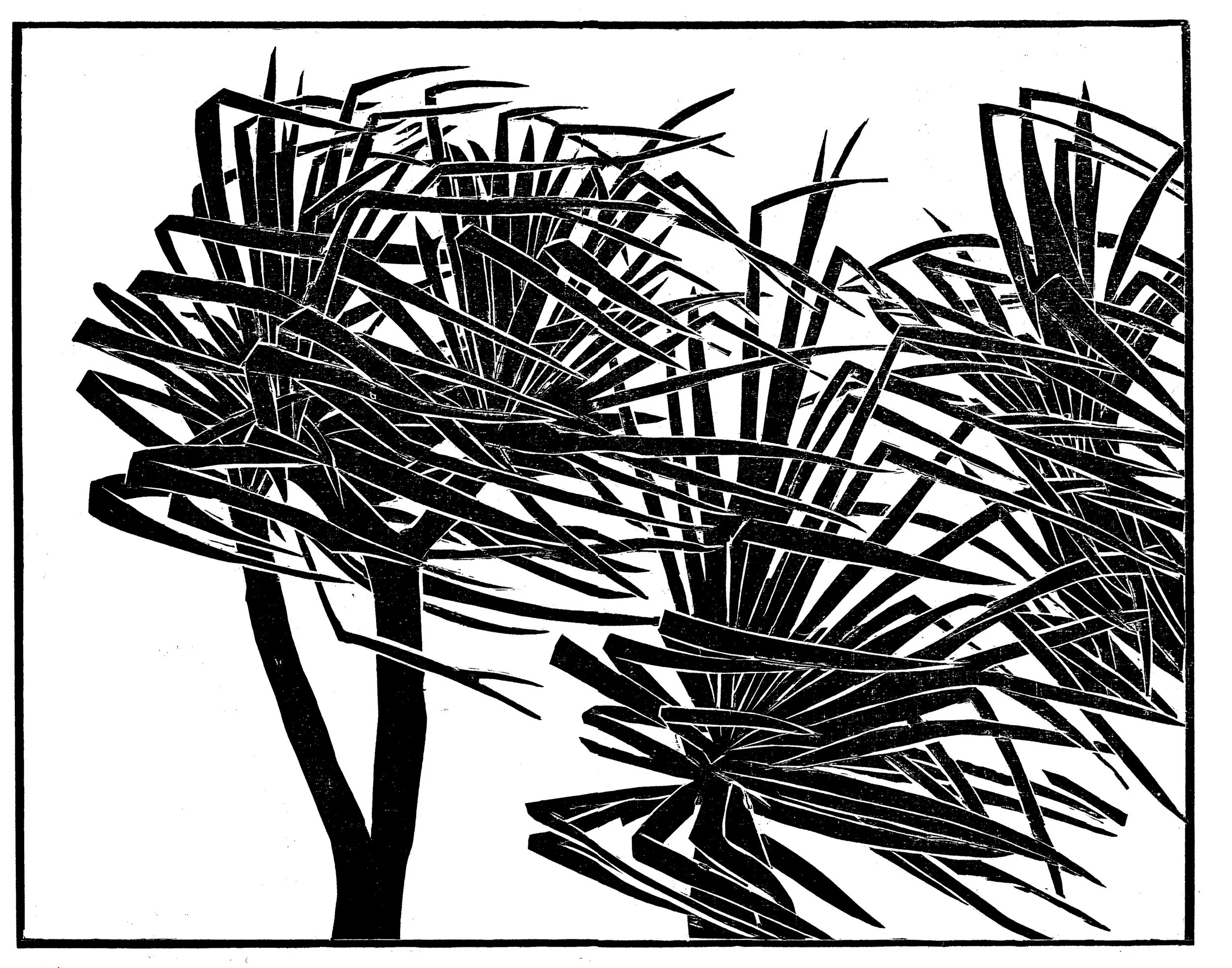 PALMS WINDSWEPT 300.jpg