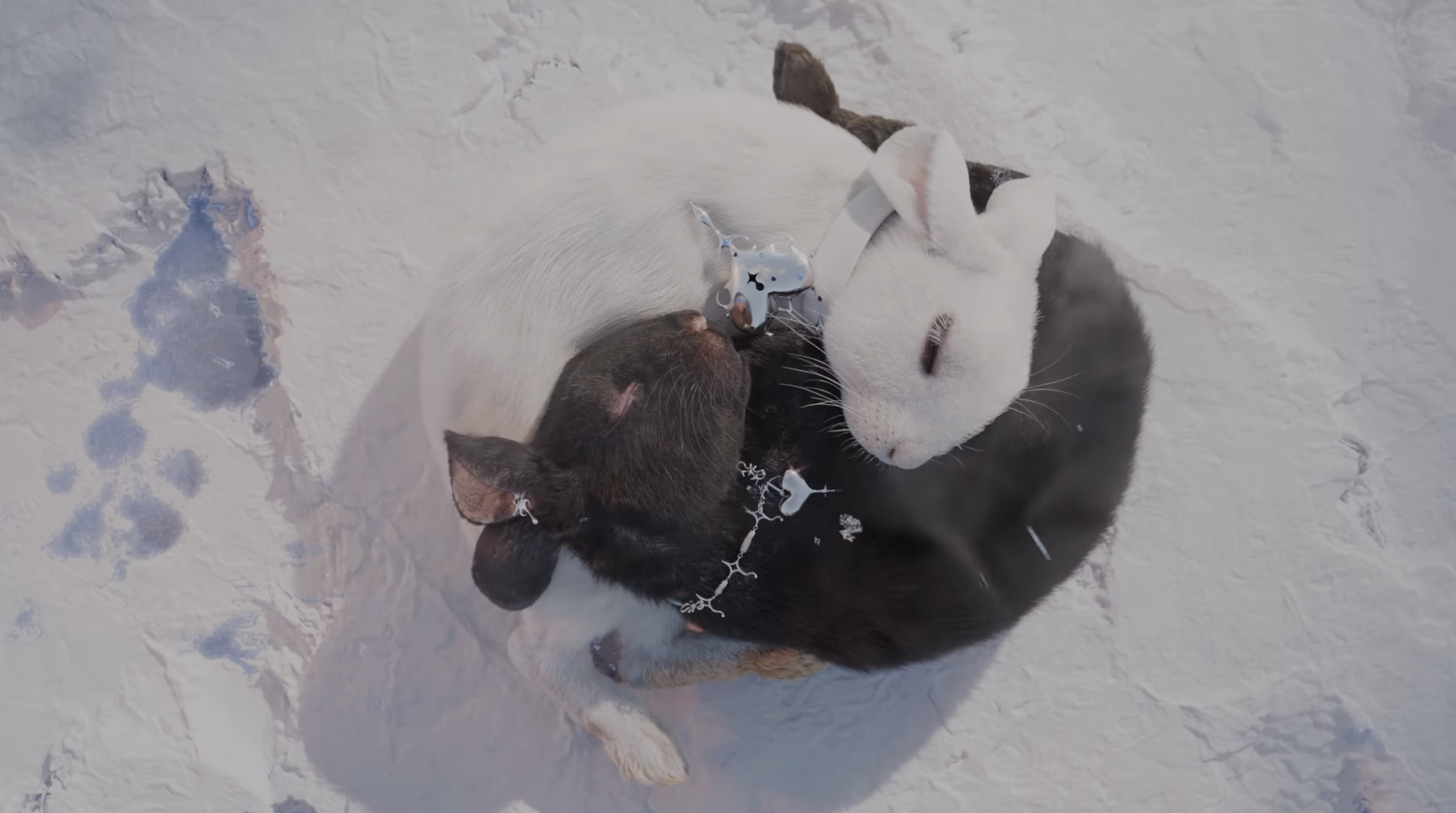 Screenshot 2026-03-11 at 14.10.57.png