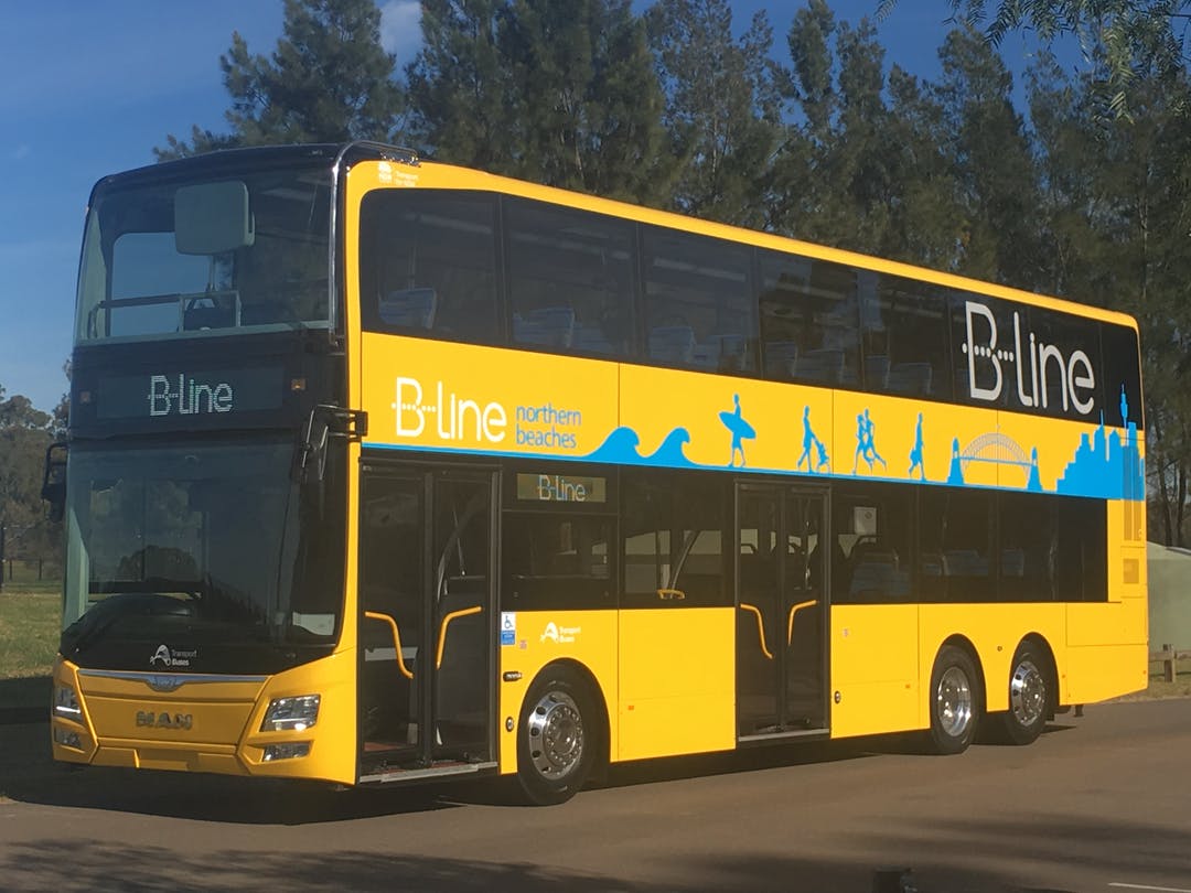 bline-bus.jpeg