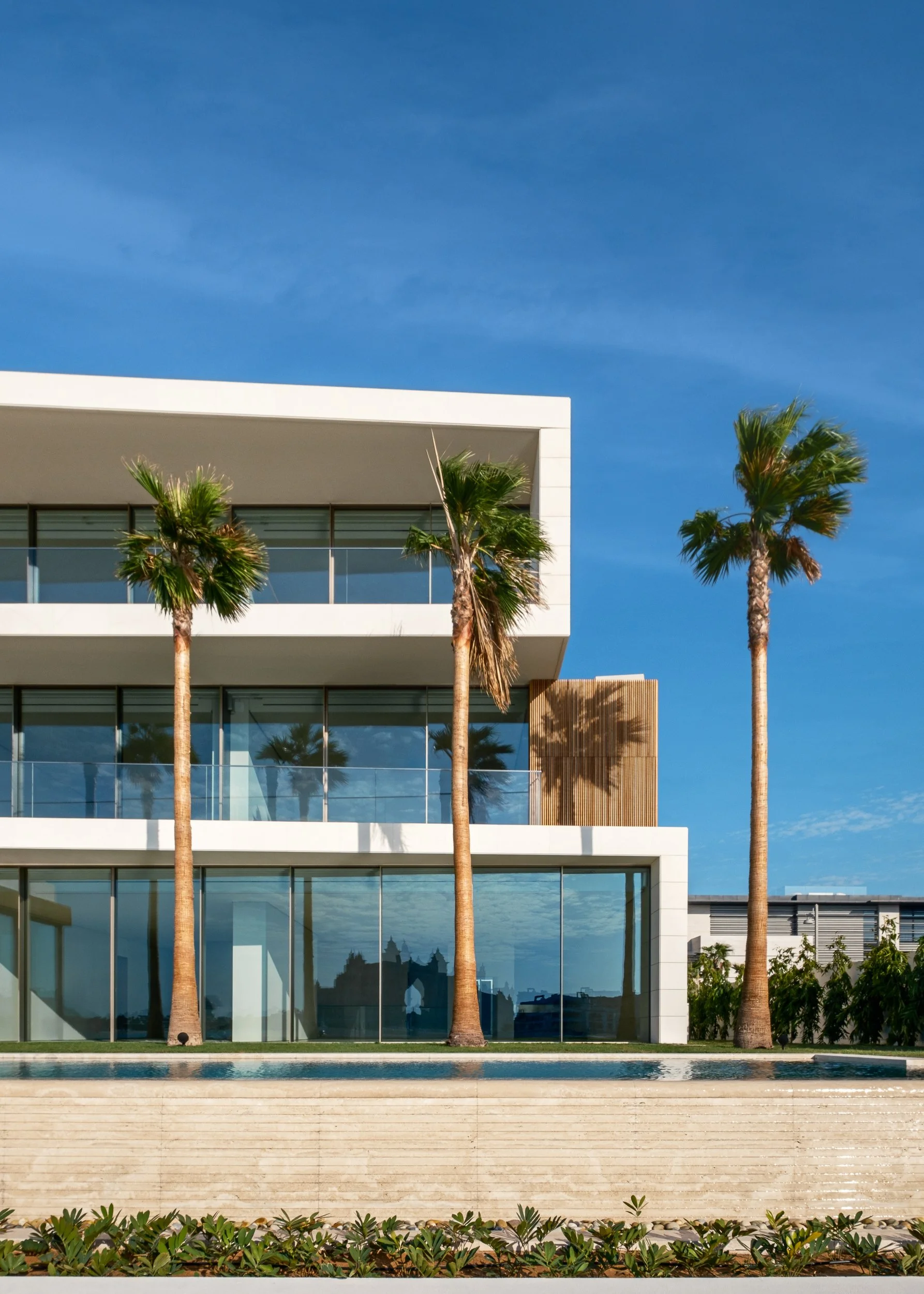 Modern white multi-story building with large glass windows, surrounded by tall palm trees, against a bright blue sky.