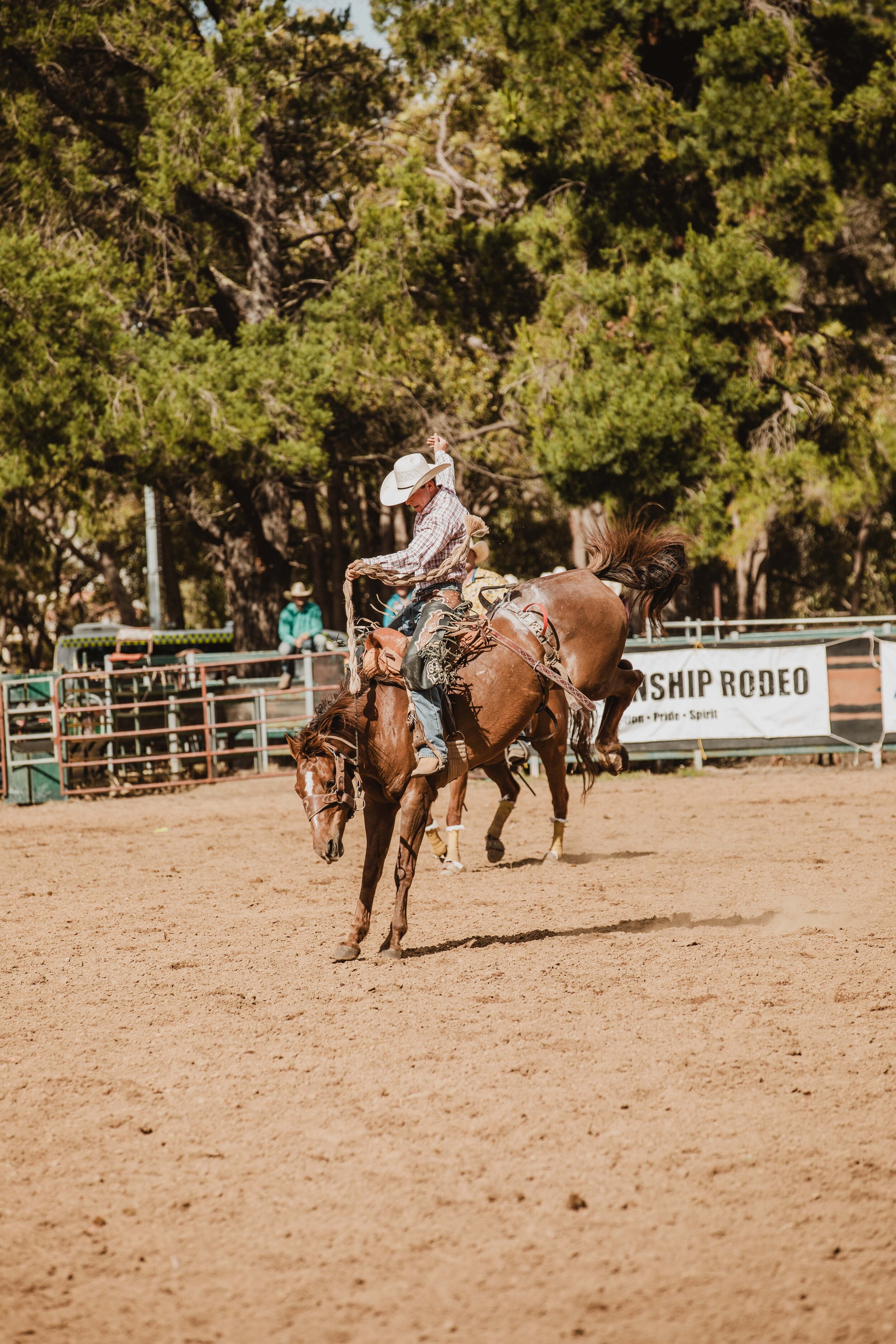 BoddRodeo_0280.jpg