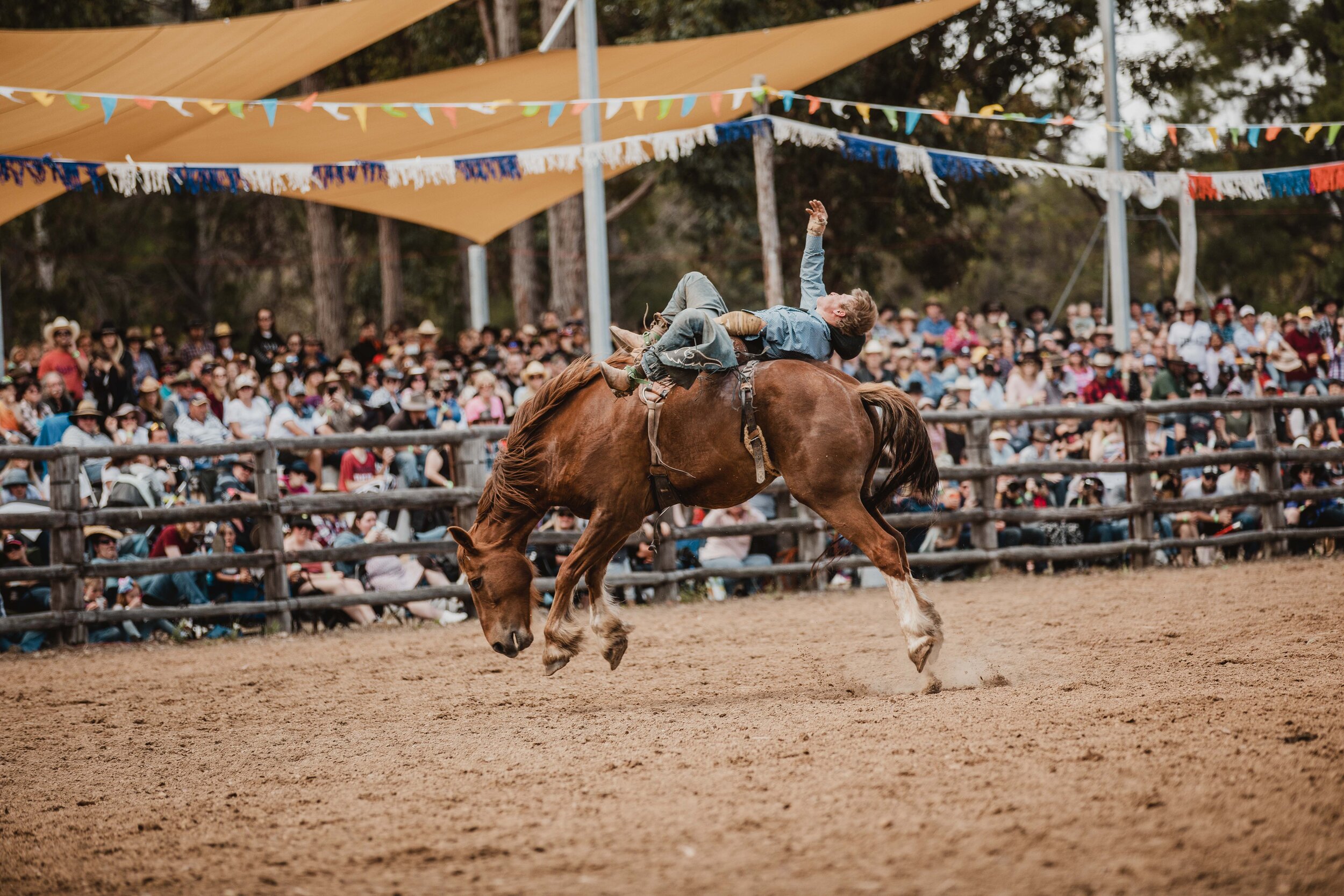 BoddRodeo_0199.jpg