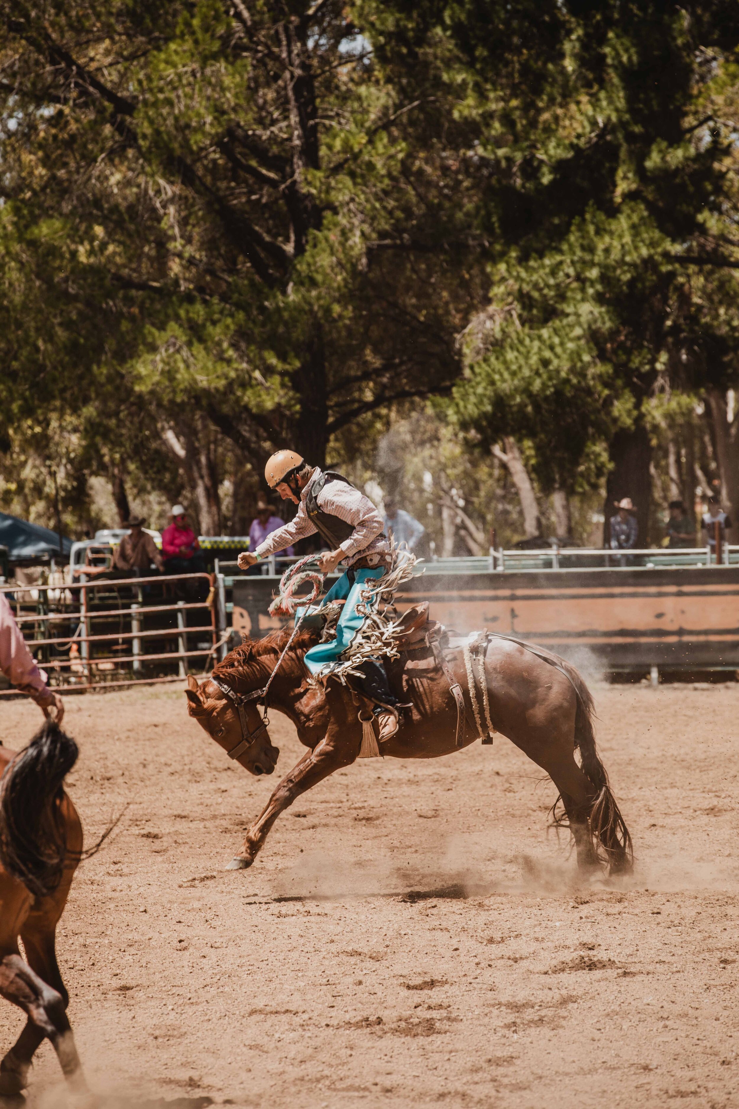 BoddingtonRodeo20_0335.jpg