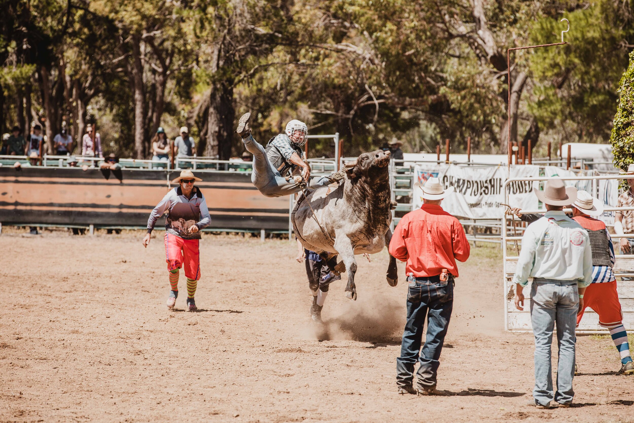 BoddingtonRodeo20_0464.jpg