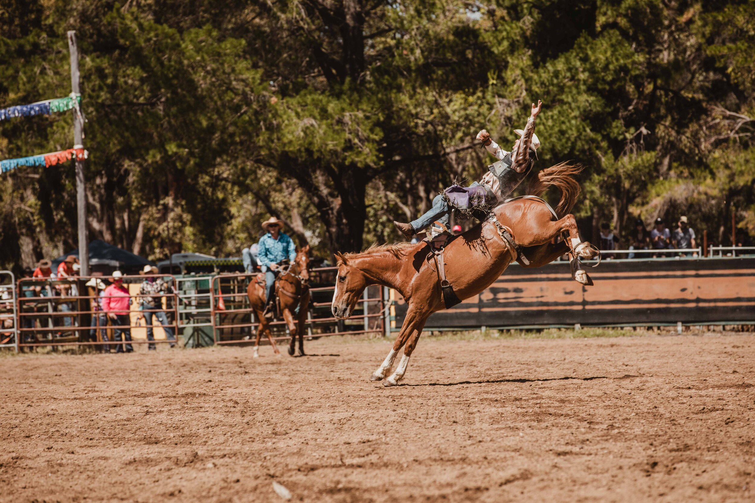 BoddingtonRodeo20_0598.jpg