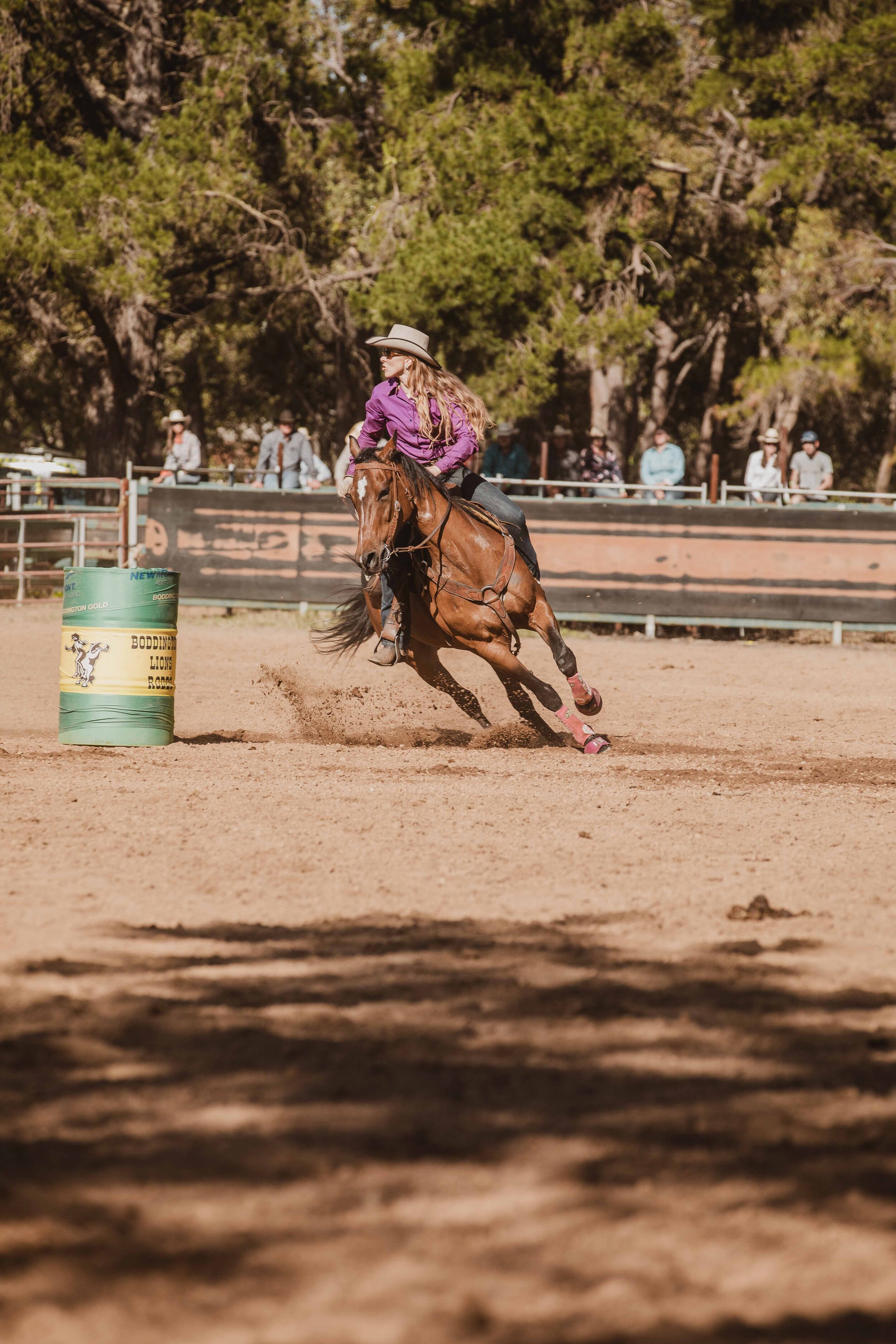 BoddingtonRodeo20_0903.jpg