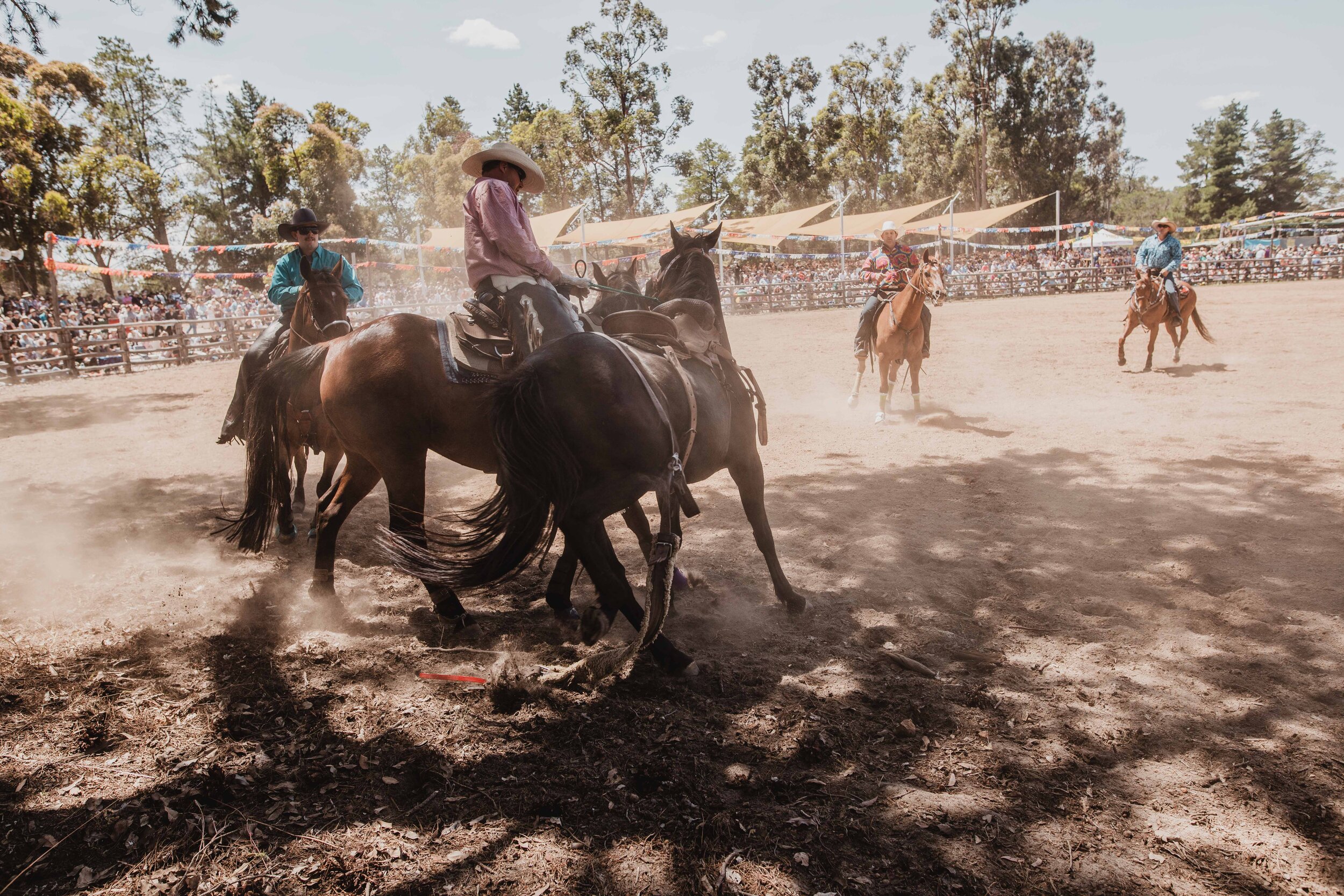 BoddingtonRodeo20_1305.jpg