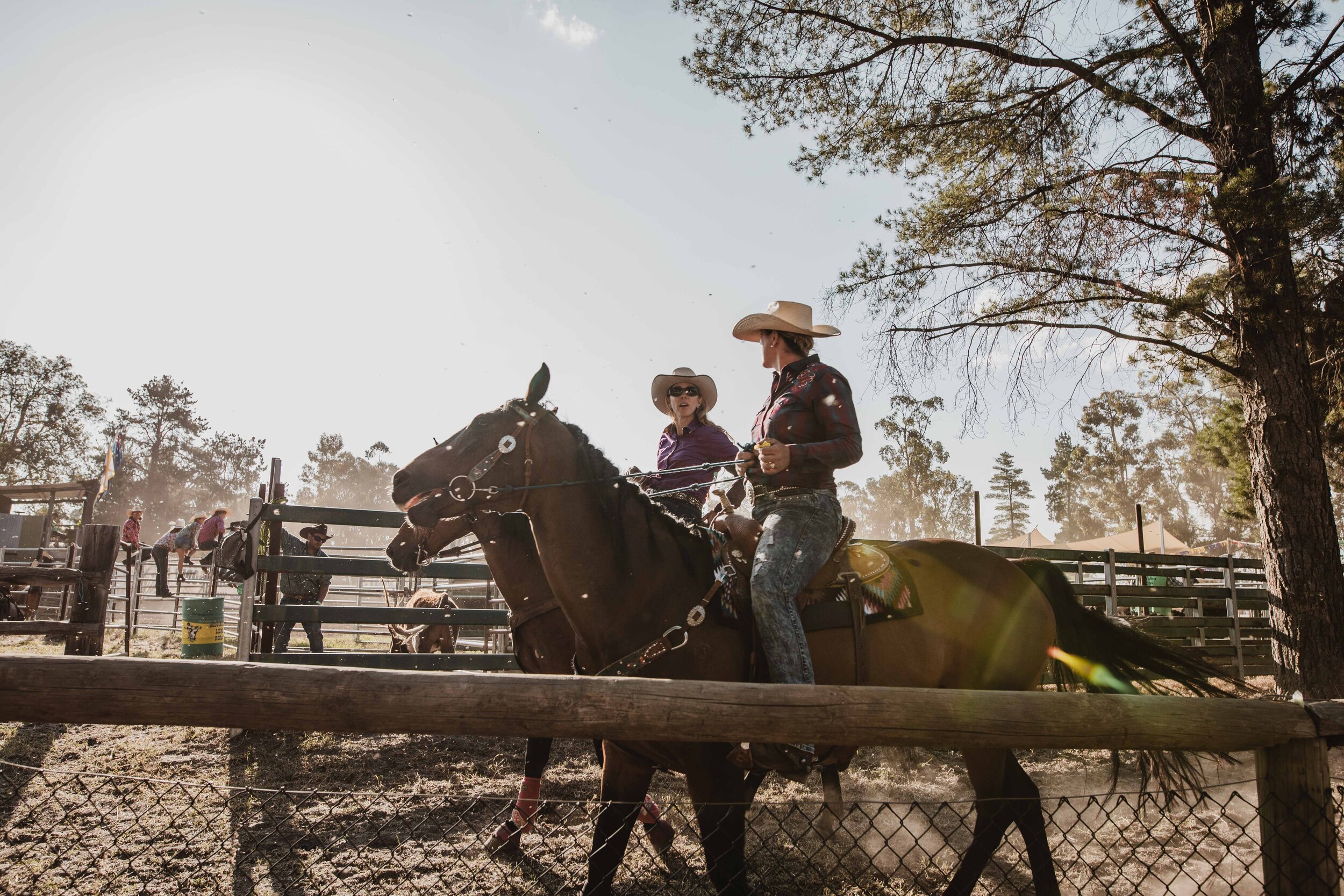 BoddingtonRodeo20_1639.jpg