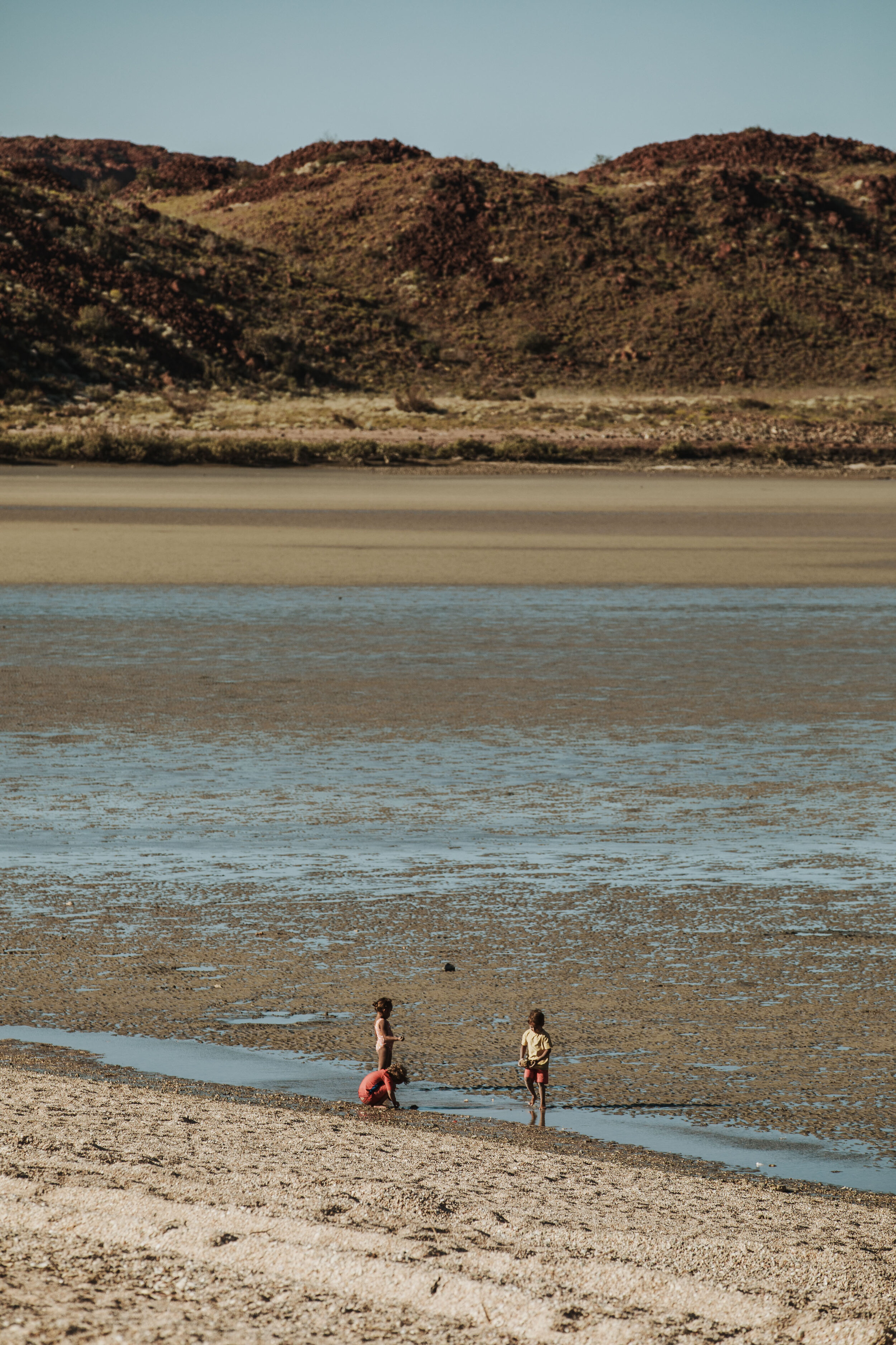  Kids enjoying the low tide at Hearsons Cove. 