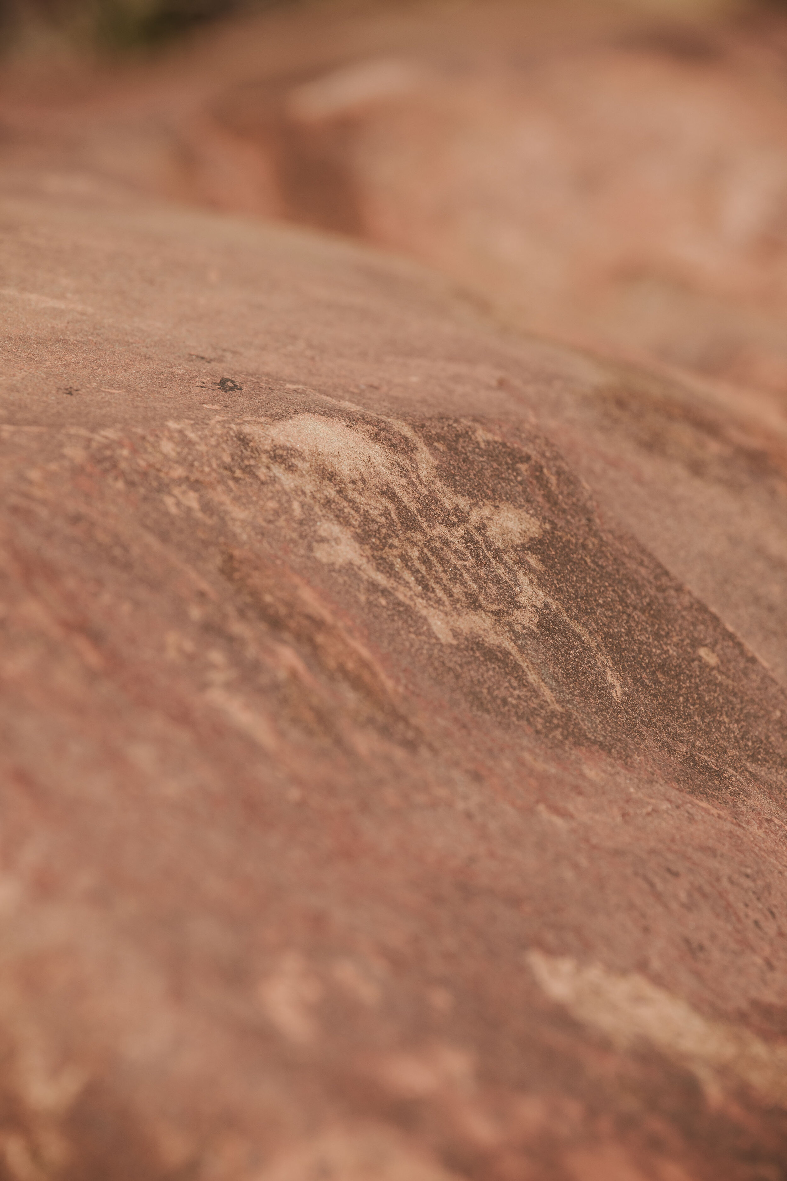  An image of a Thatharruga (turtle). Rock art in these areas can date back to 50,000 years old. 