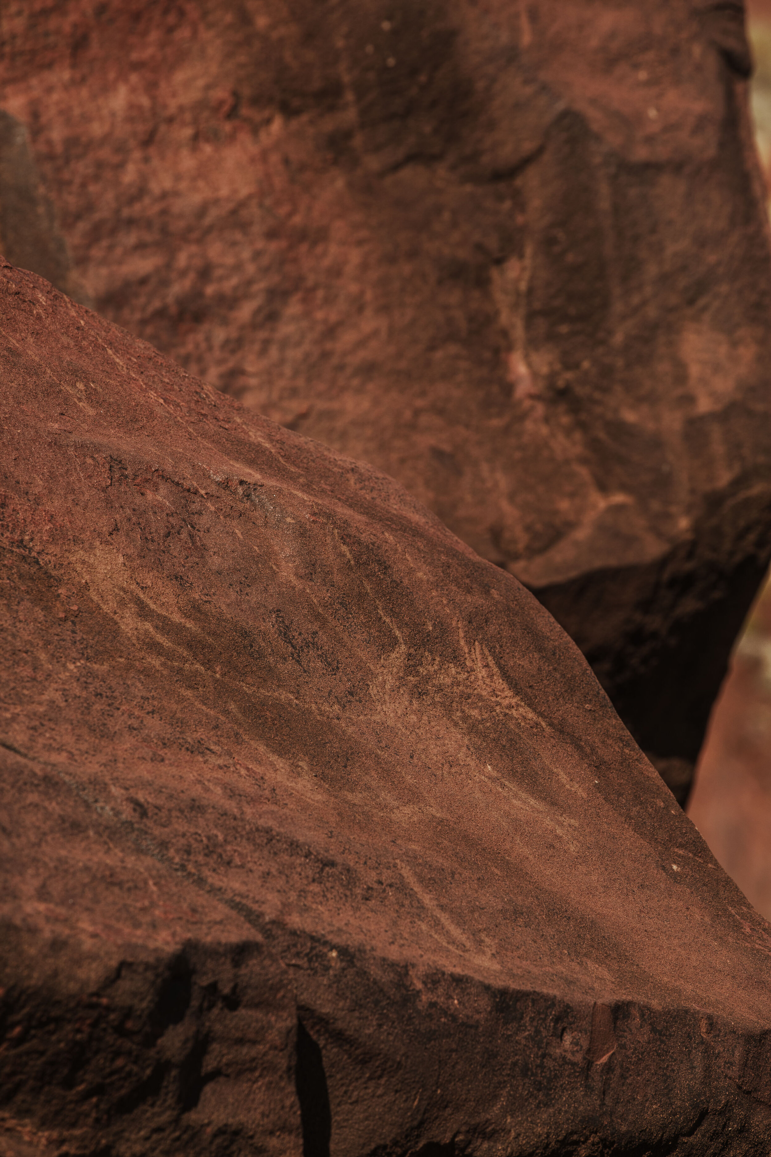  Rock art depicting a speared Kangaroo at Murujuga. 