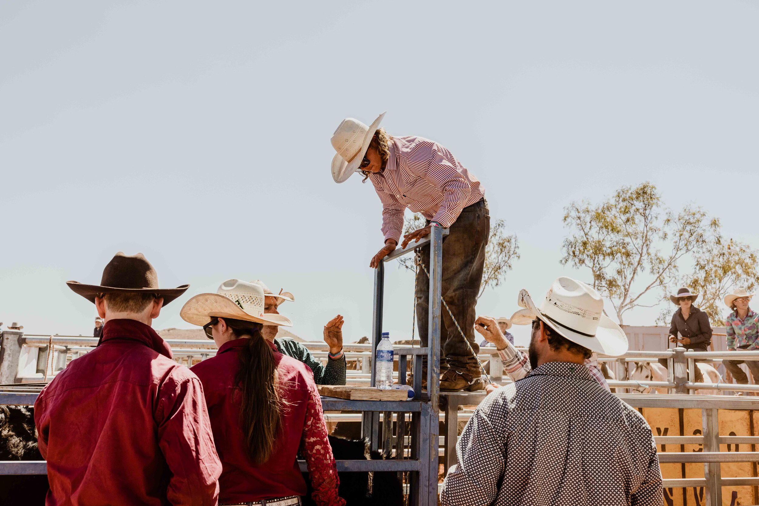 RobeRiverRodeo_0705.jpg