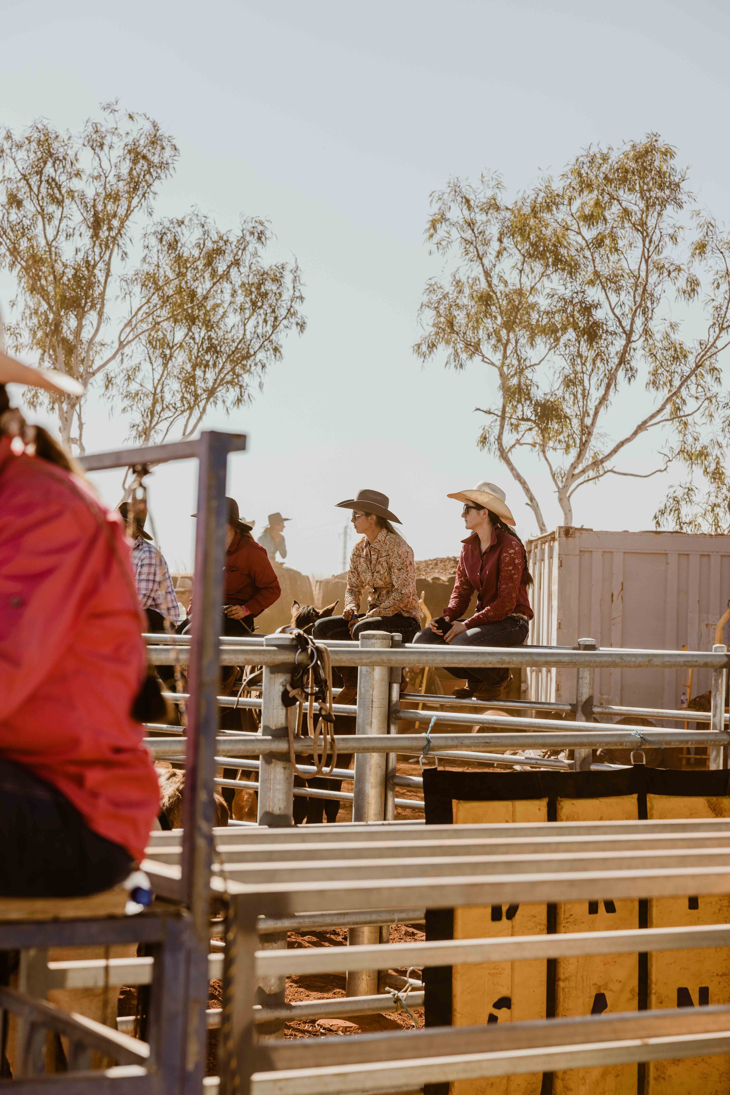 RobeRiverRodeo_0722.jpg