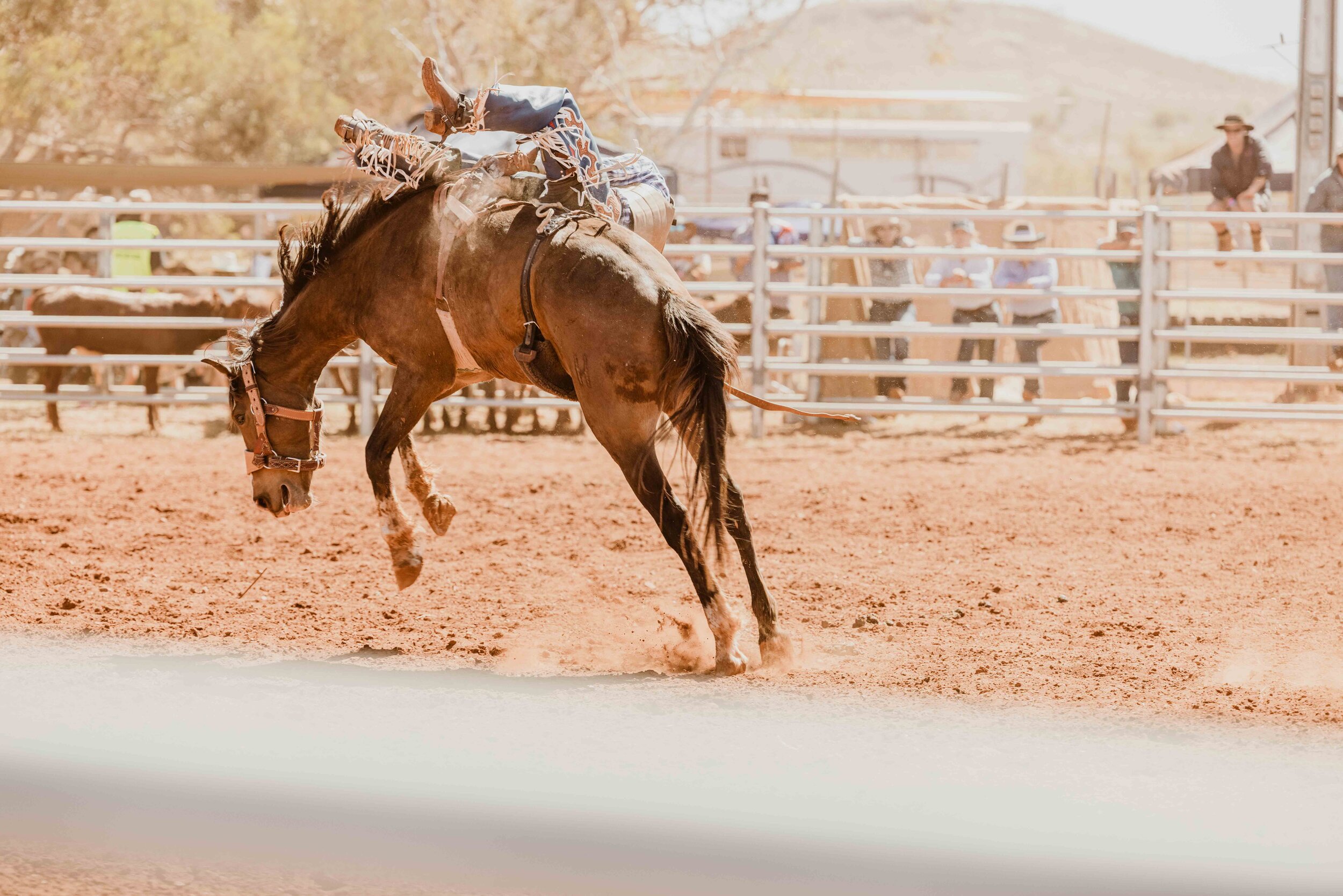 RobeRiverRodeo_0308.jpg