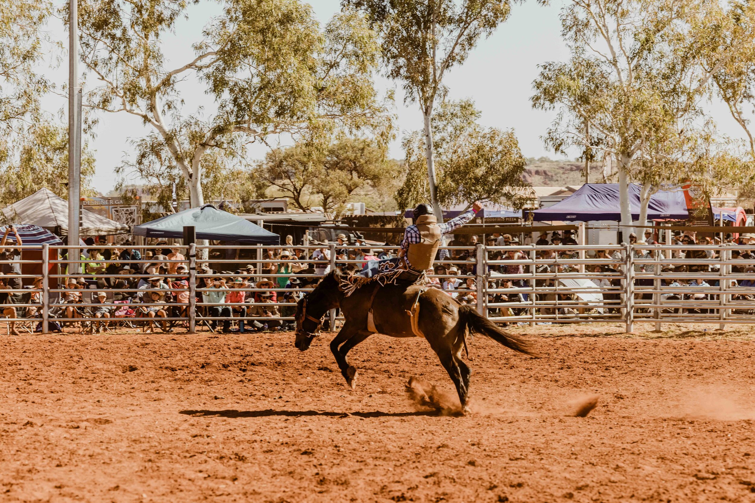 RobeRiverRodeo_0384.jpg