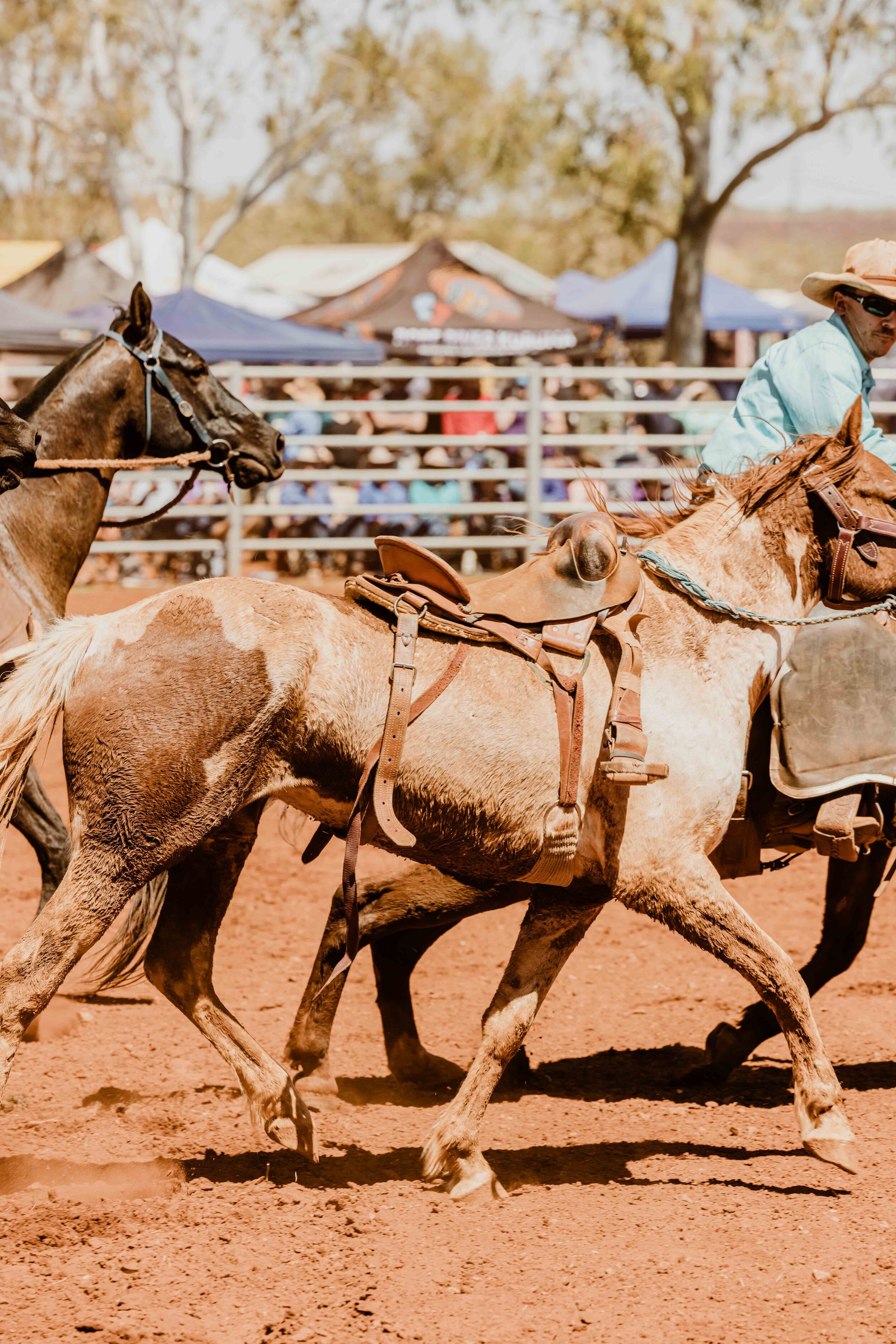 RobeRiverRodeo_0177.jpg