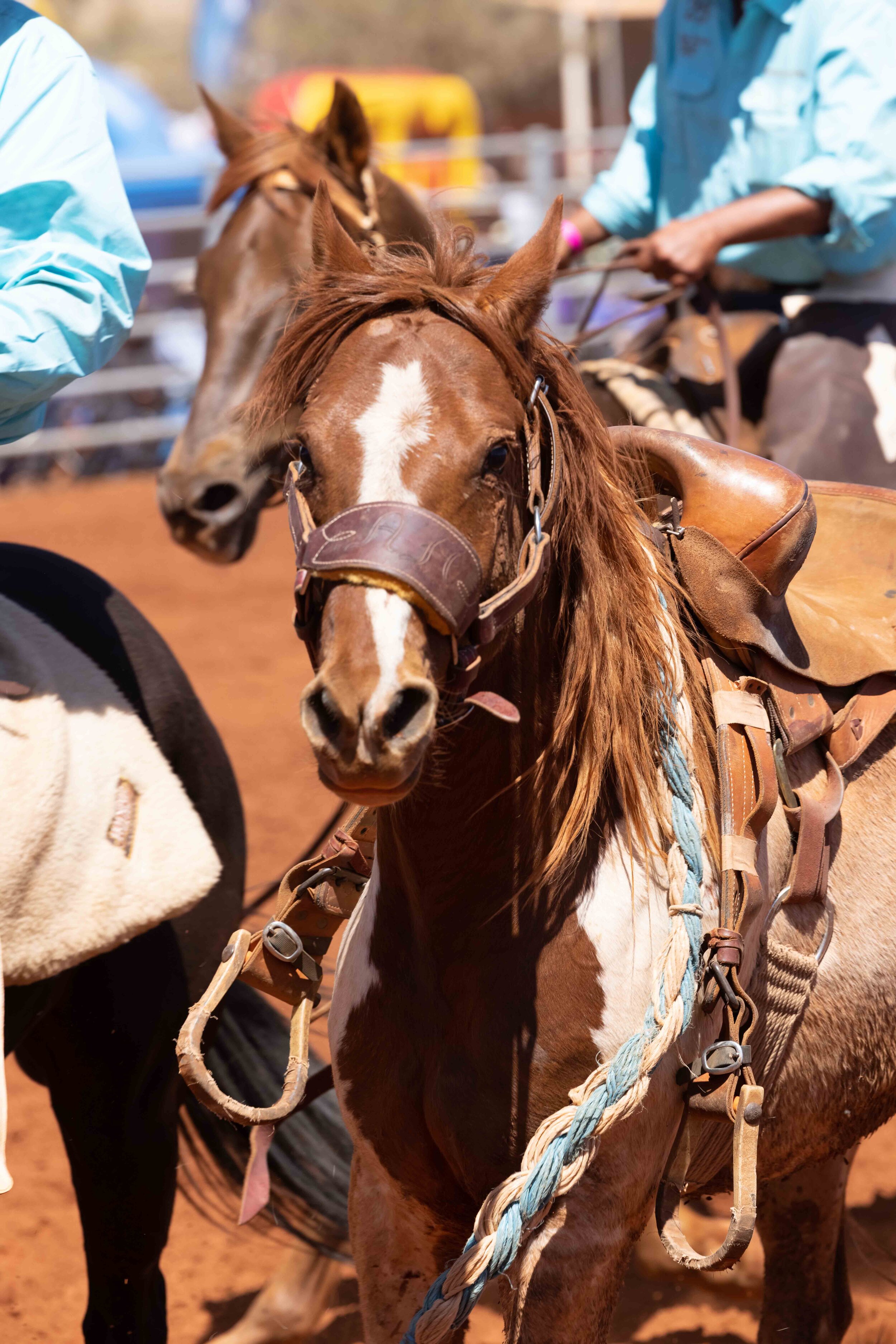 RobeRiverRodeo_0180.jpg