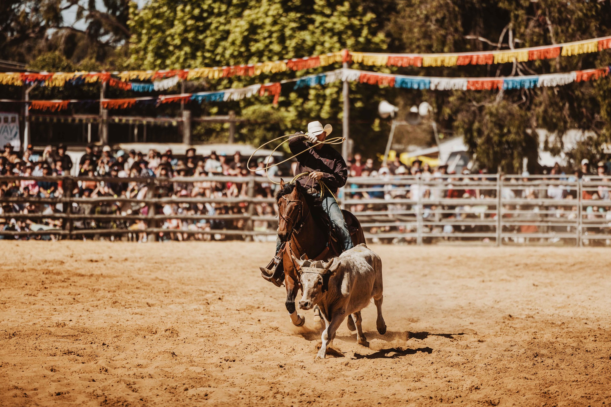 BoddRodeo22_0312.jpg