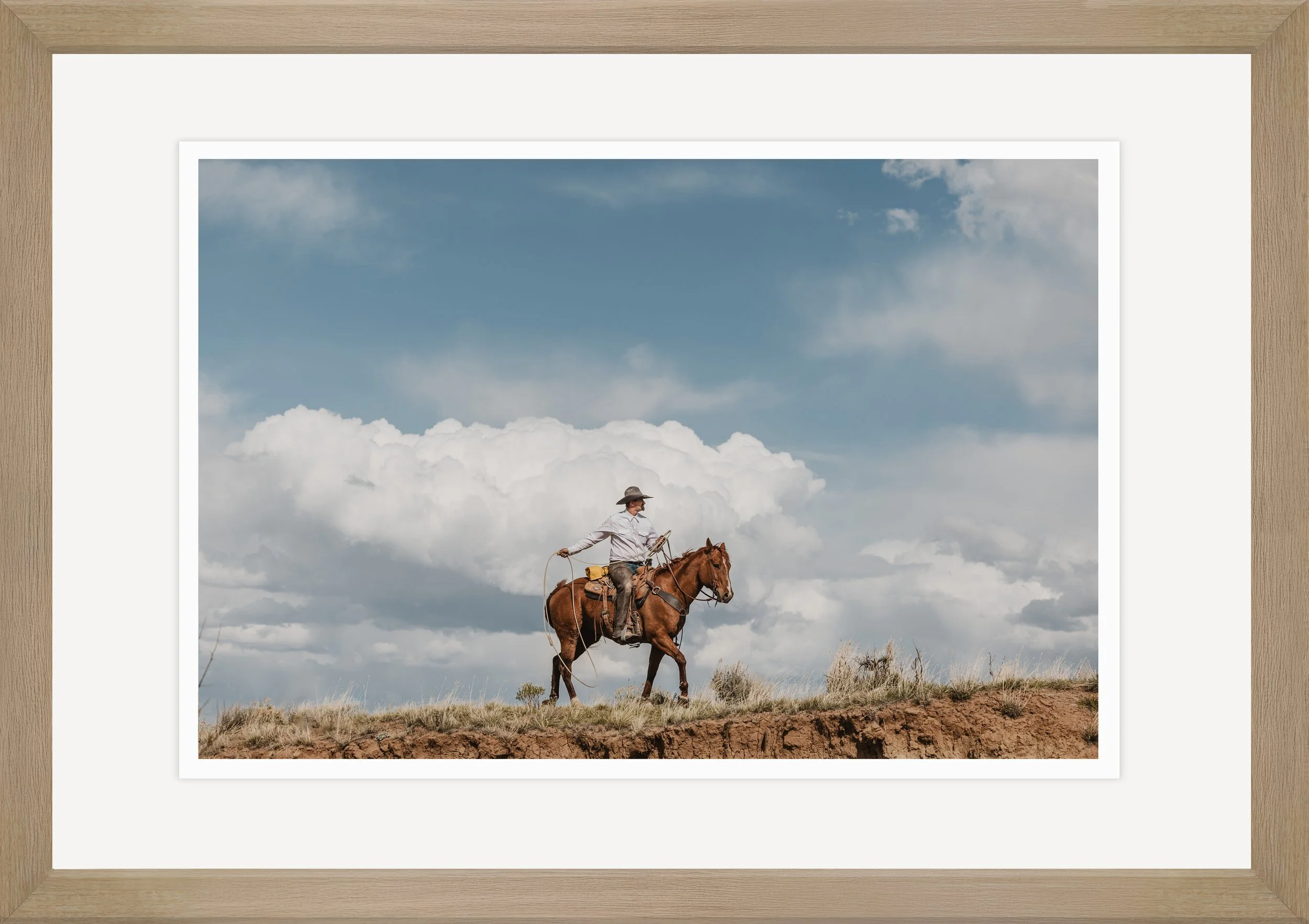 713mm x 1010mm 11.jpg