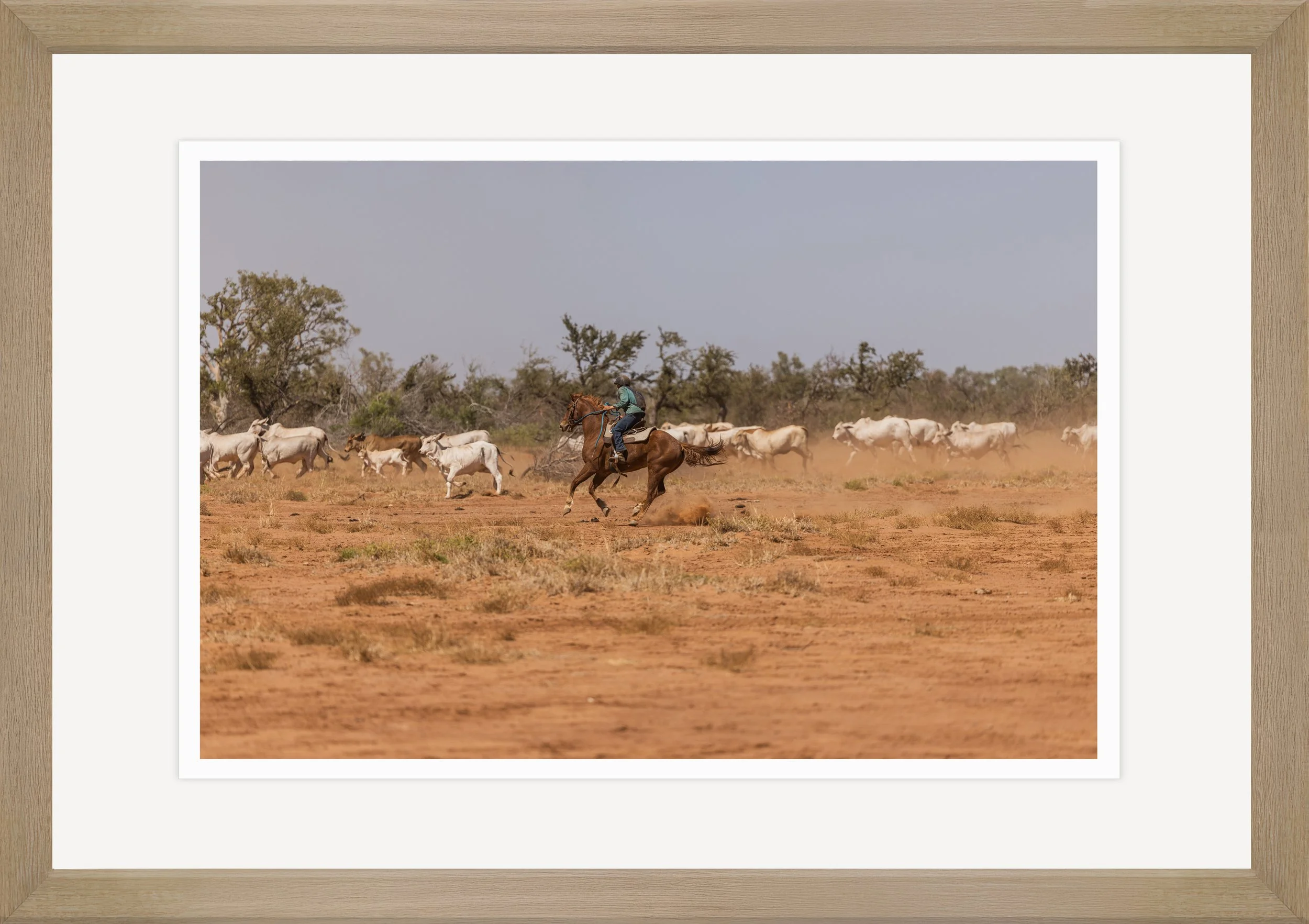 713mm x 1010mm 21.jpg