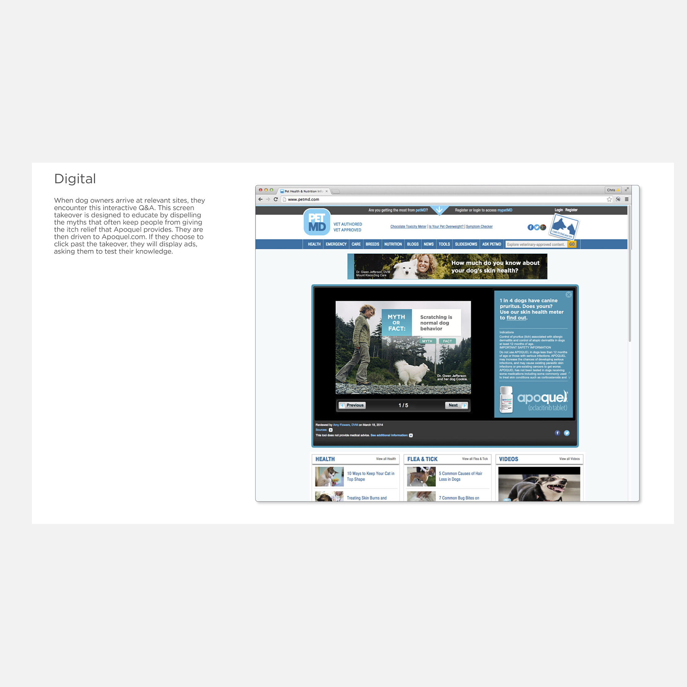 apoquel-dog__0003_myth digital.jpg