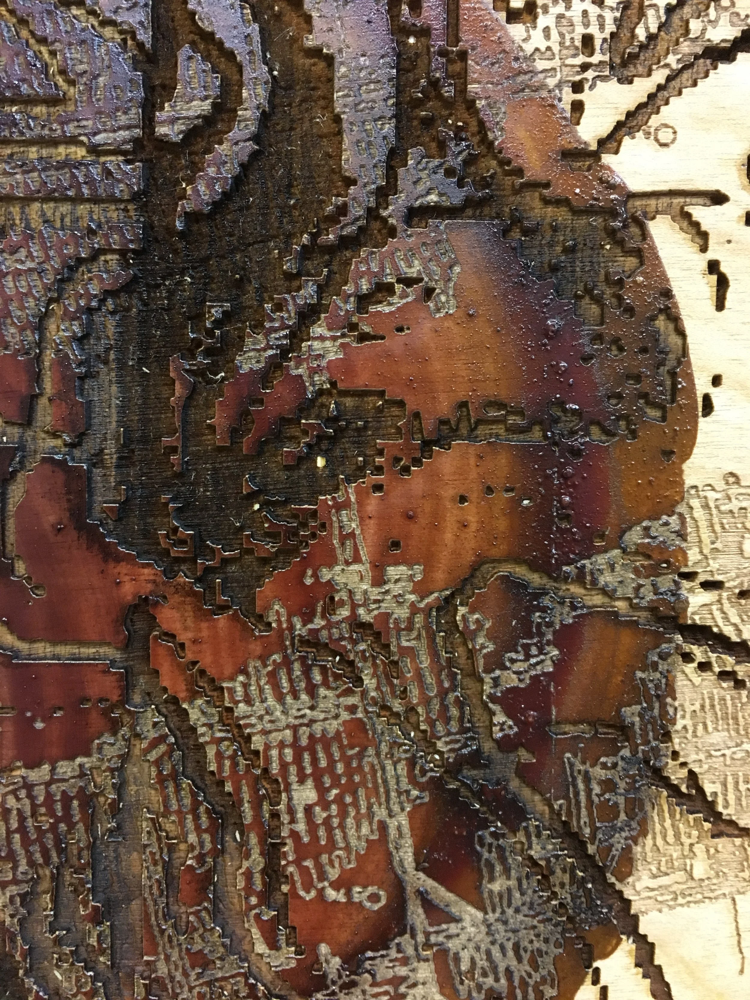  Detail - Laser etching: Scorched Earth Policy 