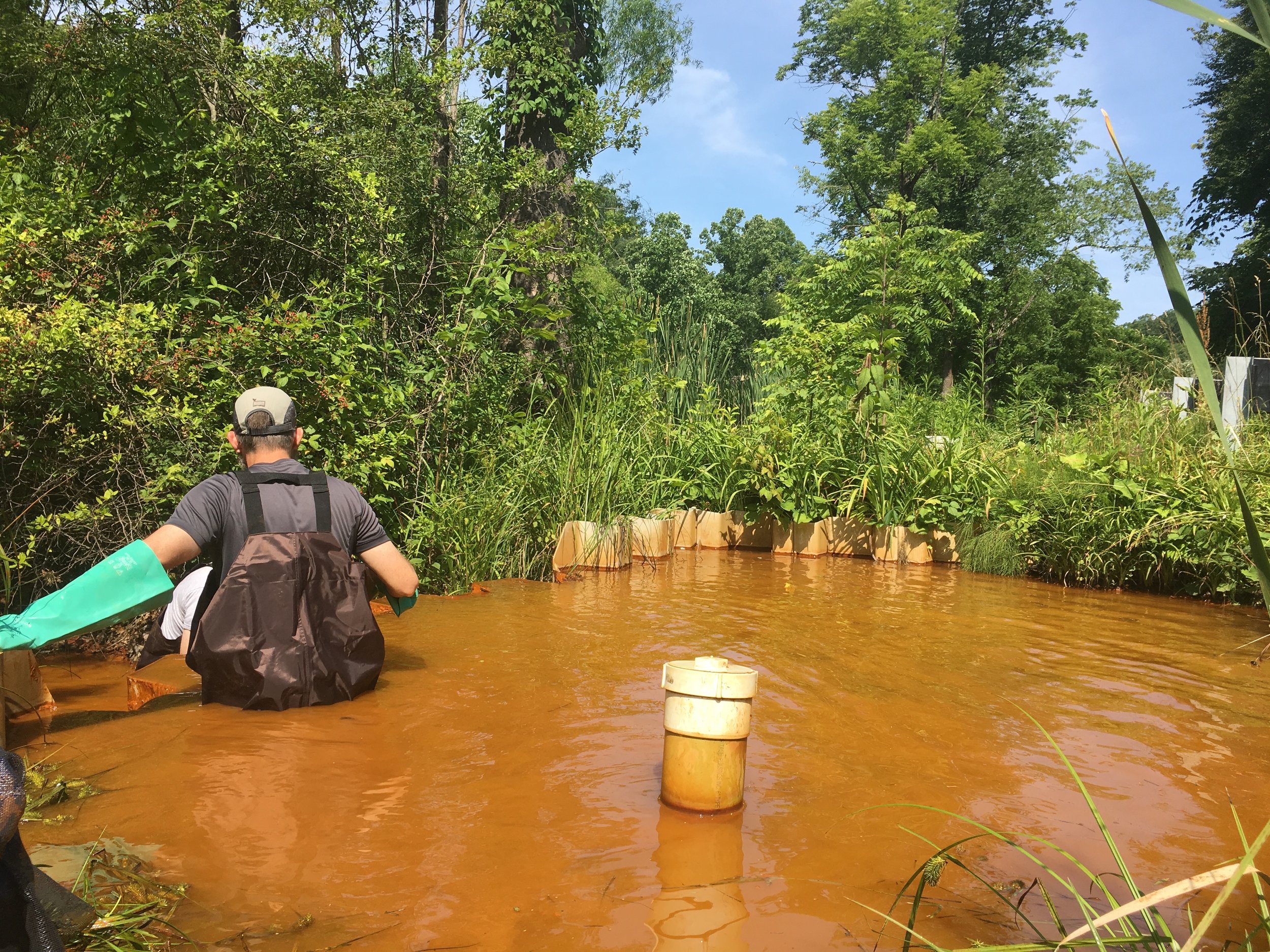  Extracting samples from stream catch of iron and acid mine drainage in Sulfur Springs Hollow, Ohio 