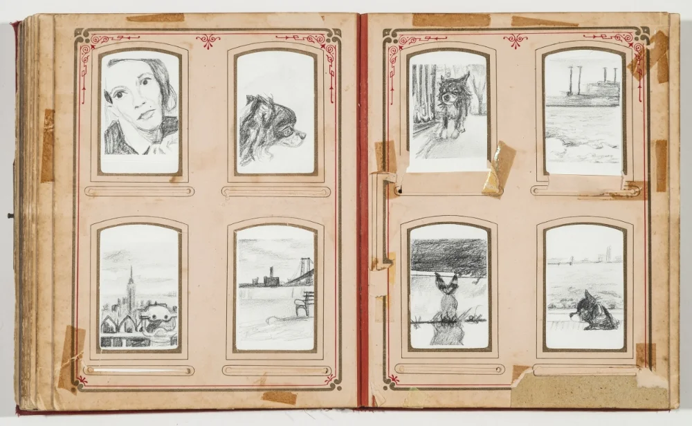 Left: Self portrait, Mishka, Empire, East River Right: Mishka walk, Greenpoint, Bunny shadow, Mishka waterfront Graphite on paper, 2016