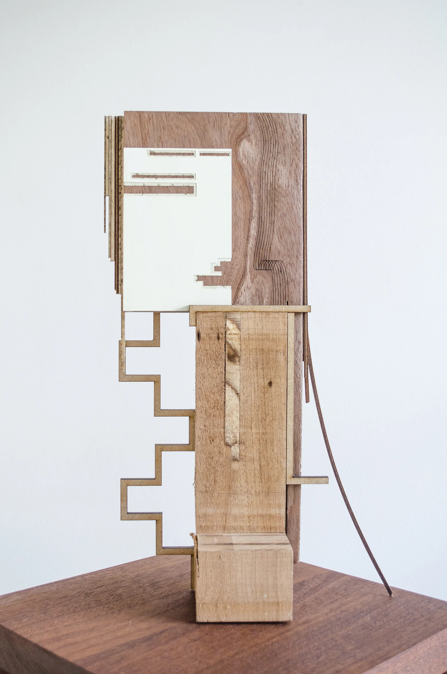  Fantasmatic (detail)_Wood construction with collage and laser etched engraving _   161x30x30cm_2013 