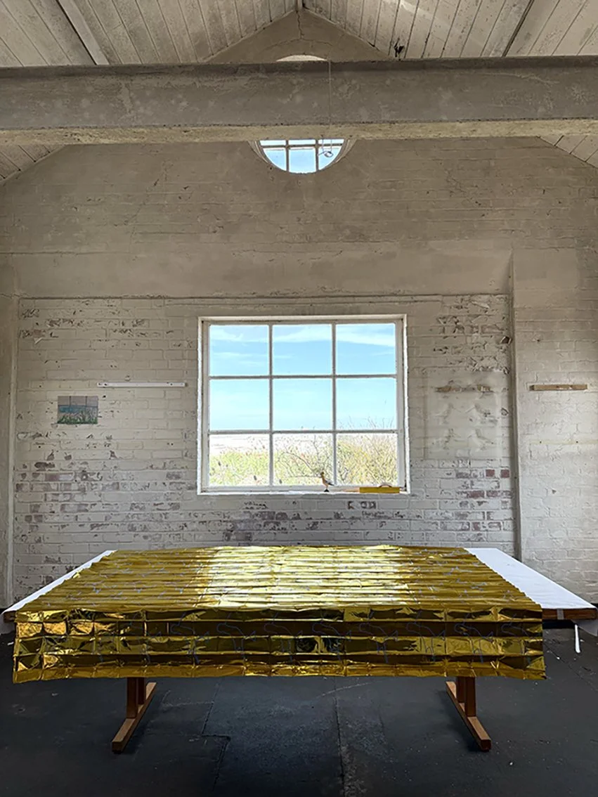 Shimmering Hoopoe in progress