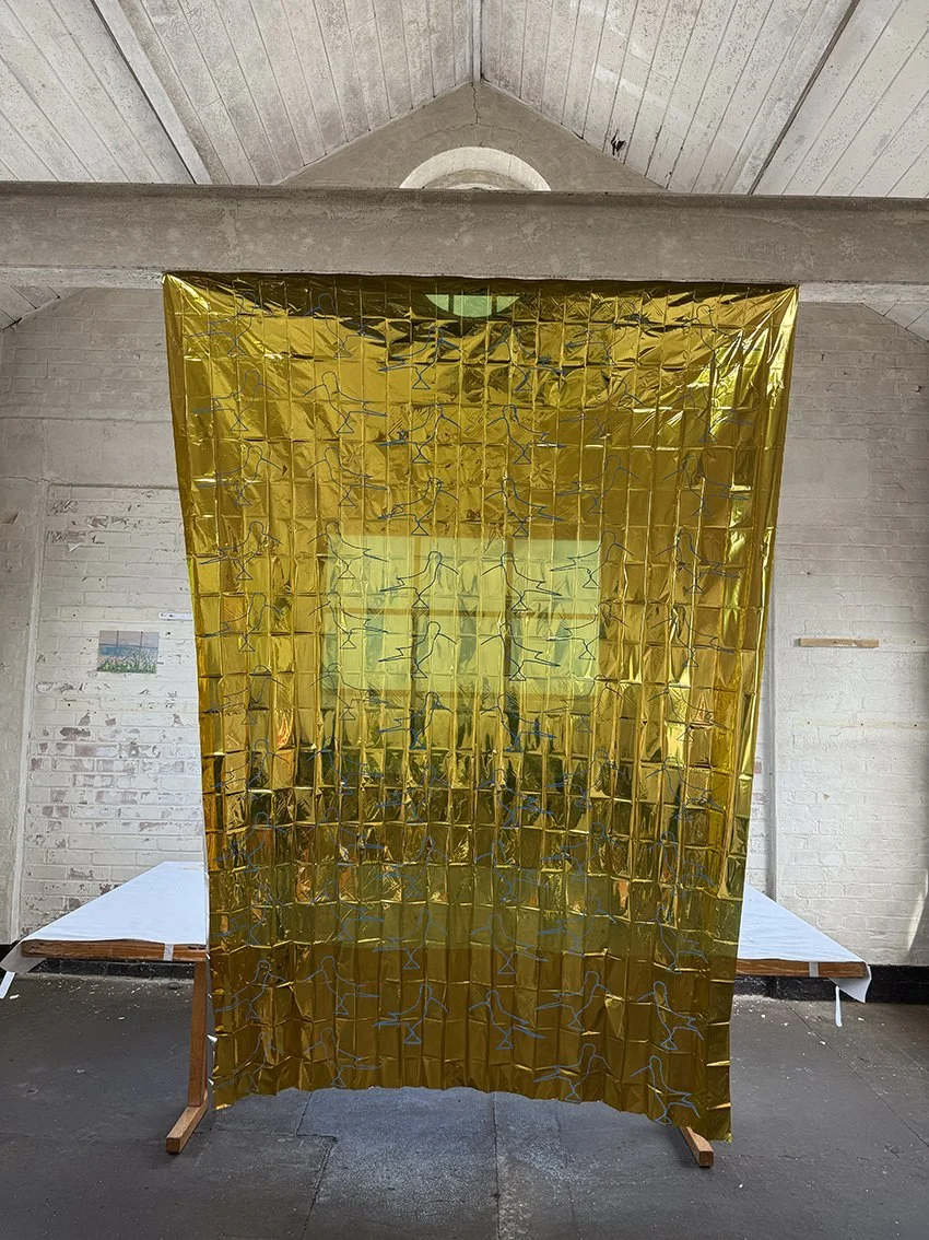 Shimmering Hoopoe in progress 