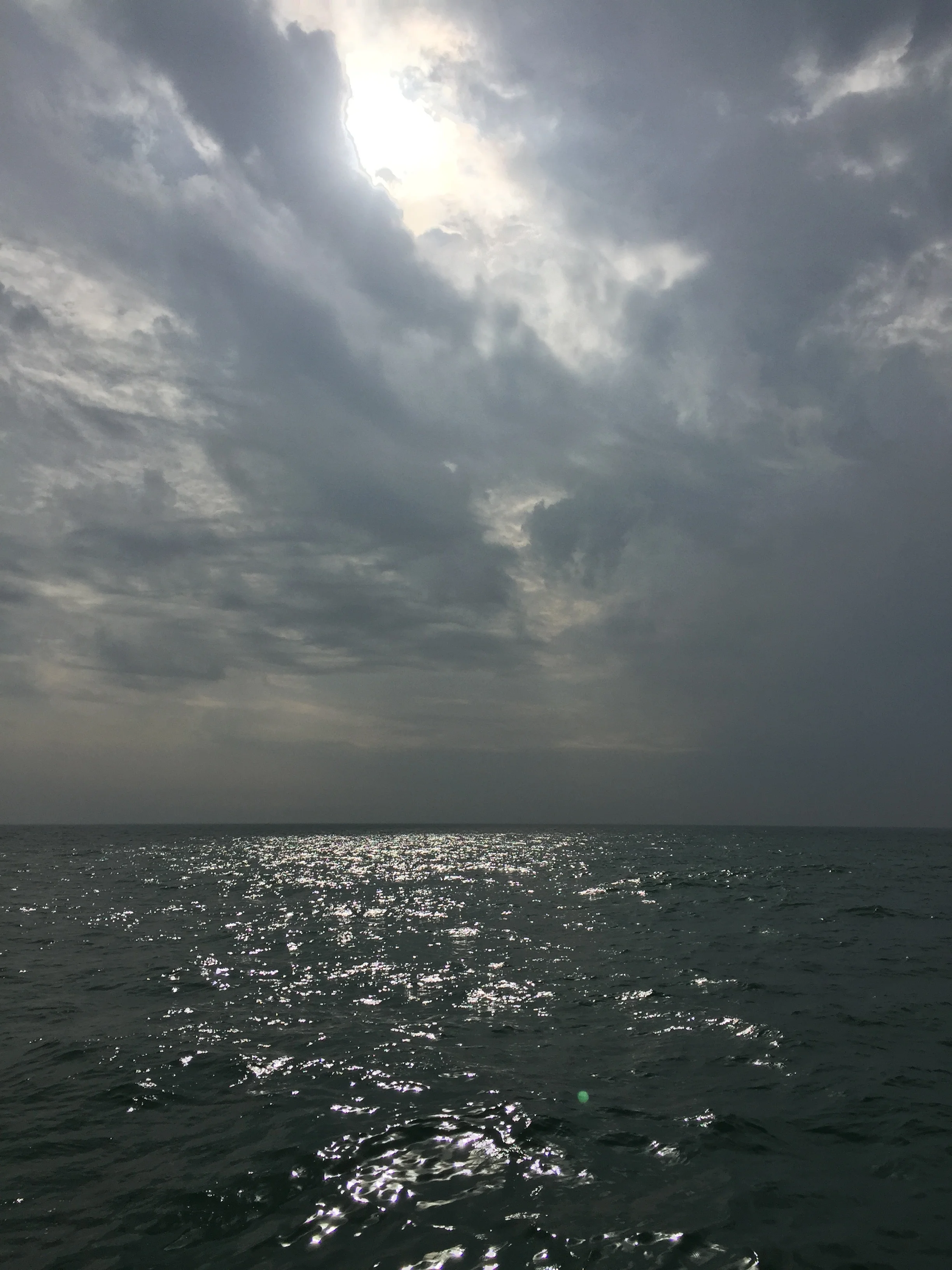 IMG_3217.jpg
