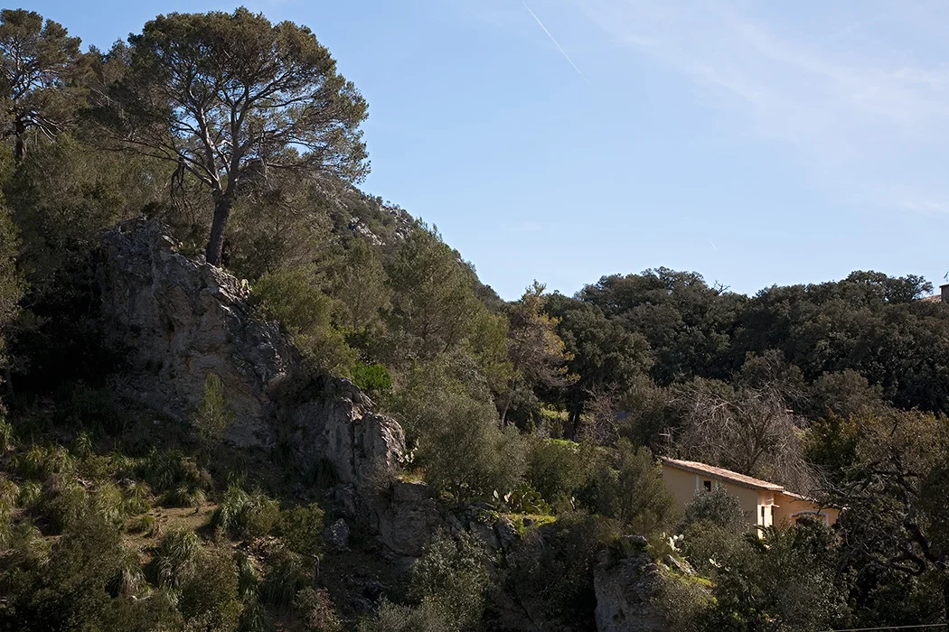 Orient, Mallorca 2010