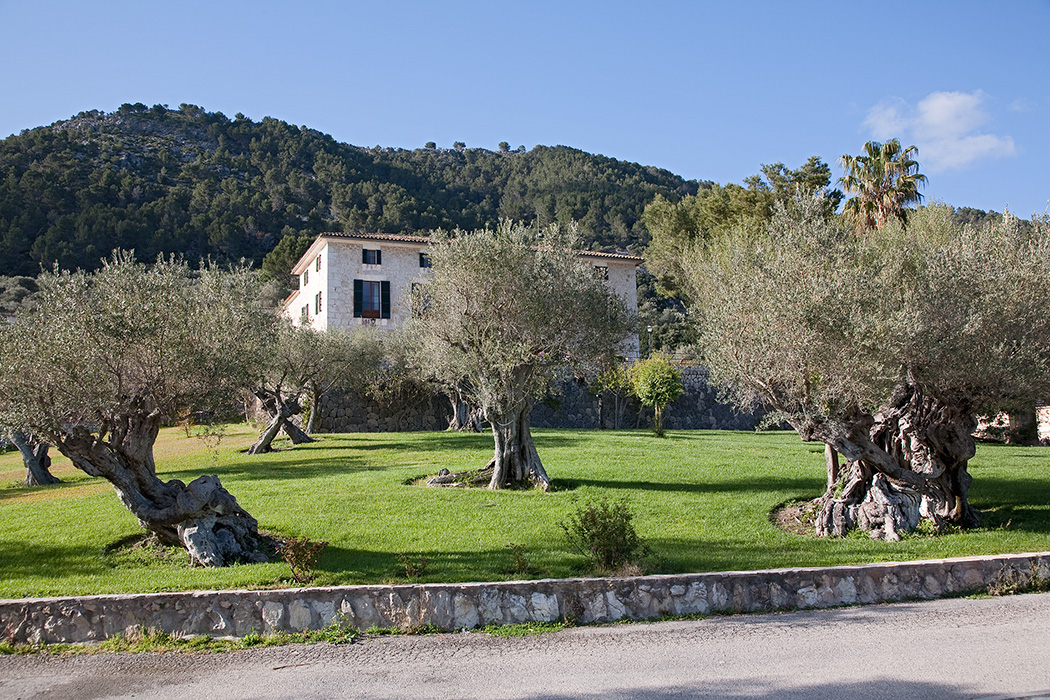 Monnaber Nou, Mallorca 2010