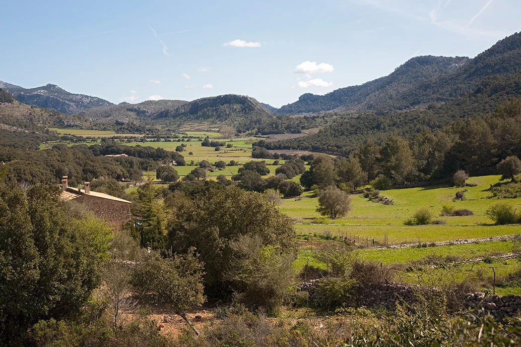 Orient, Mallorca 2010