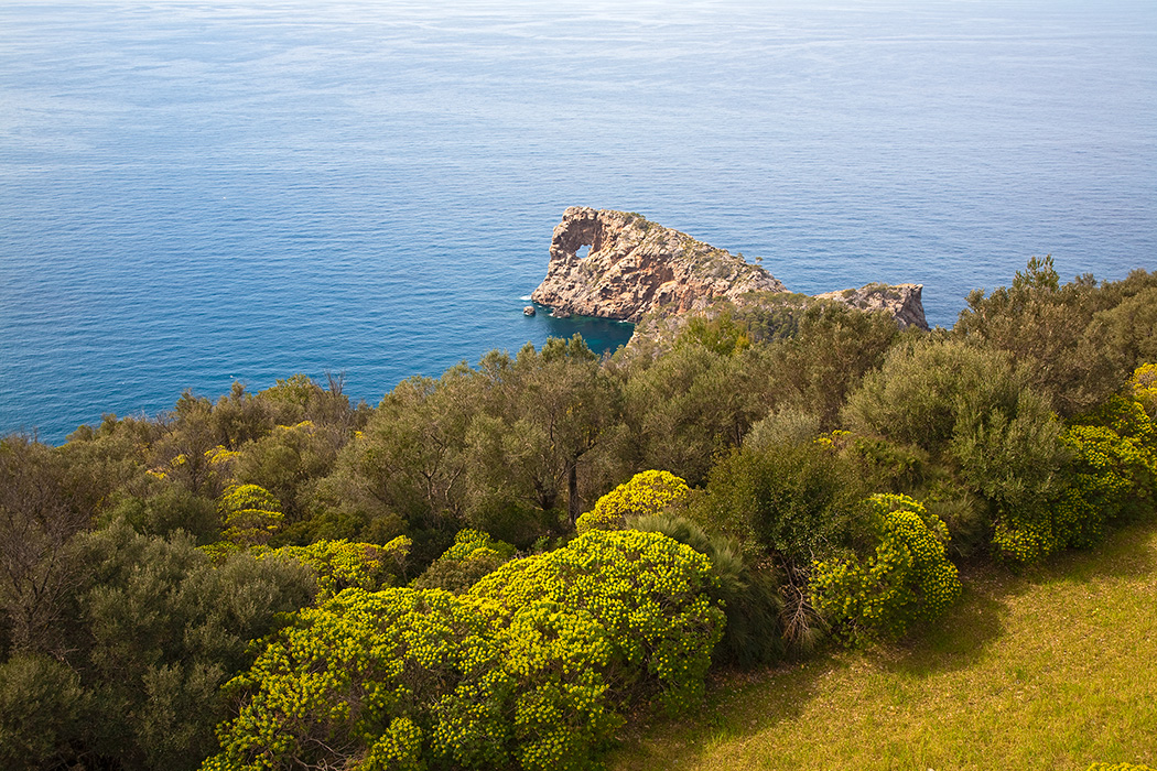 Sa Foradada, Son Marroig, Mallorca 2010