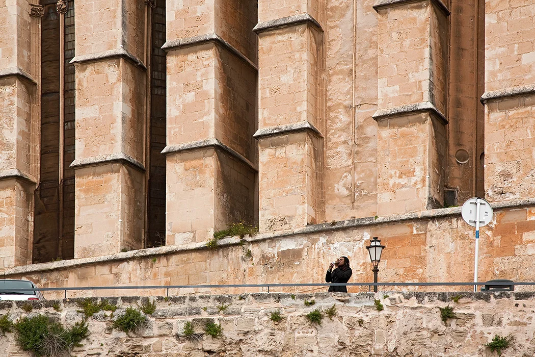 La Seu, Palma de Mallorca 2010