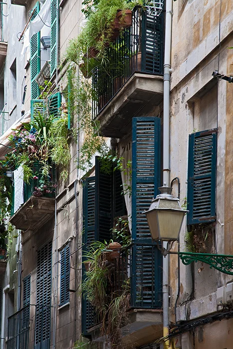 Altstadt, Palma de Mallorca 2010