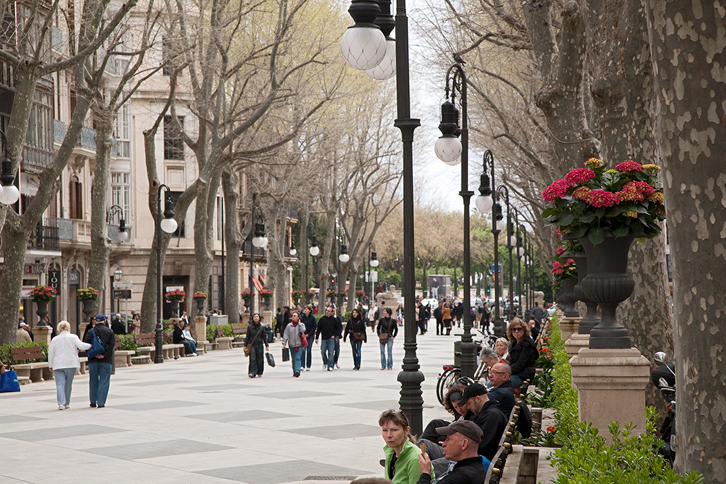 Passeig des Born, Palma de Mallorca 2010