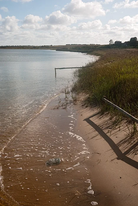 Salzwiesen am Watt, Sylt 2011
