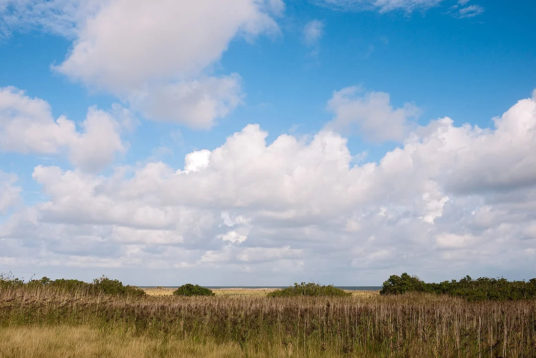 Braderuper Heide, Sylt 2011