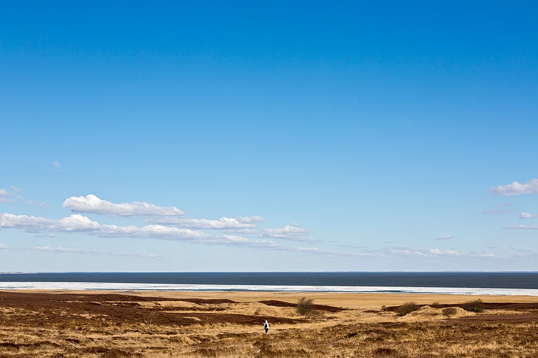 Watt vor der Braderuper Heide, Sylt 2013